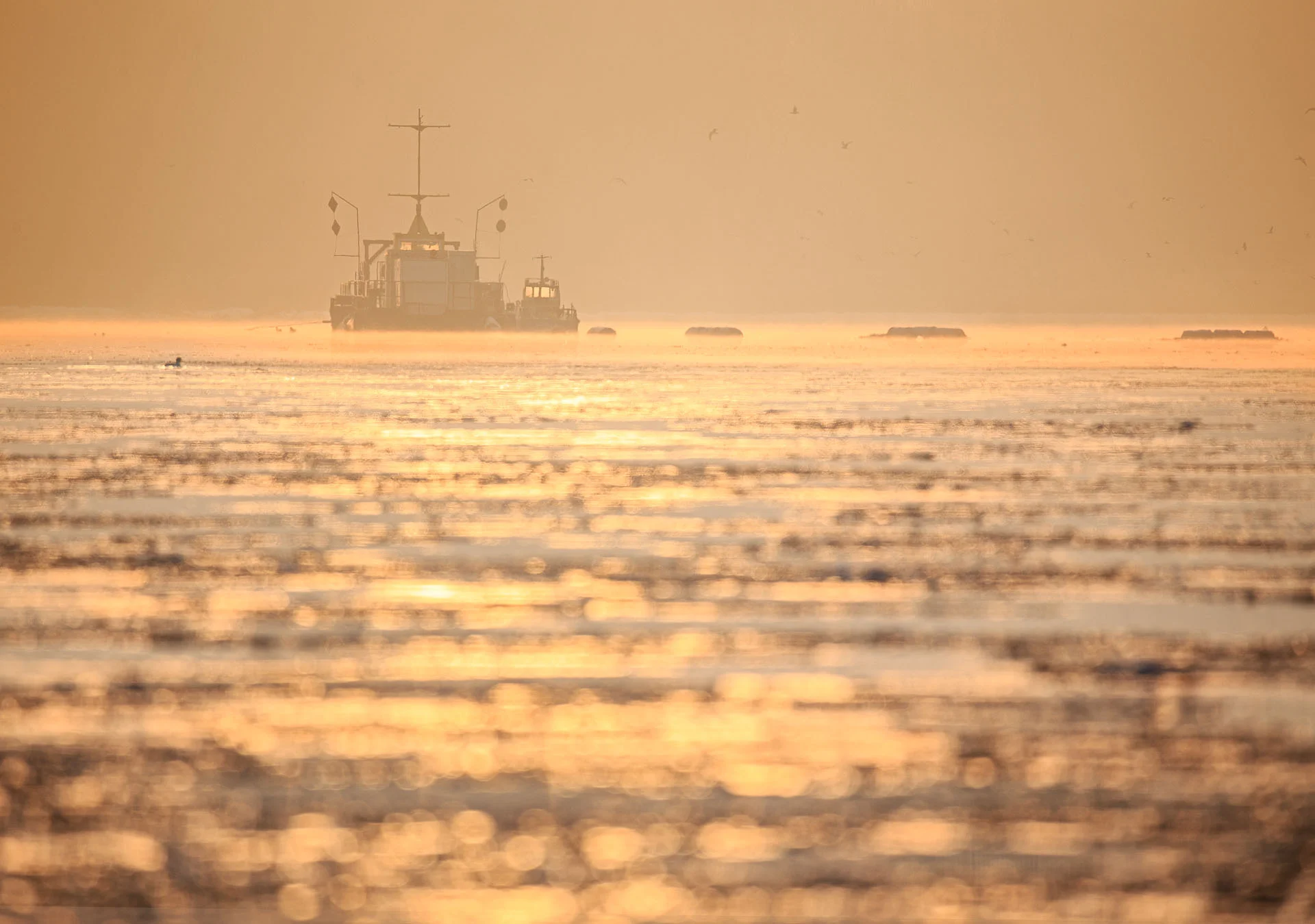 Pogłębiarka na Wiśle, Iso 100; 600 mm; f/6,3, 1/160s