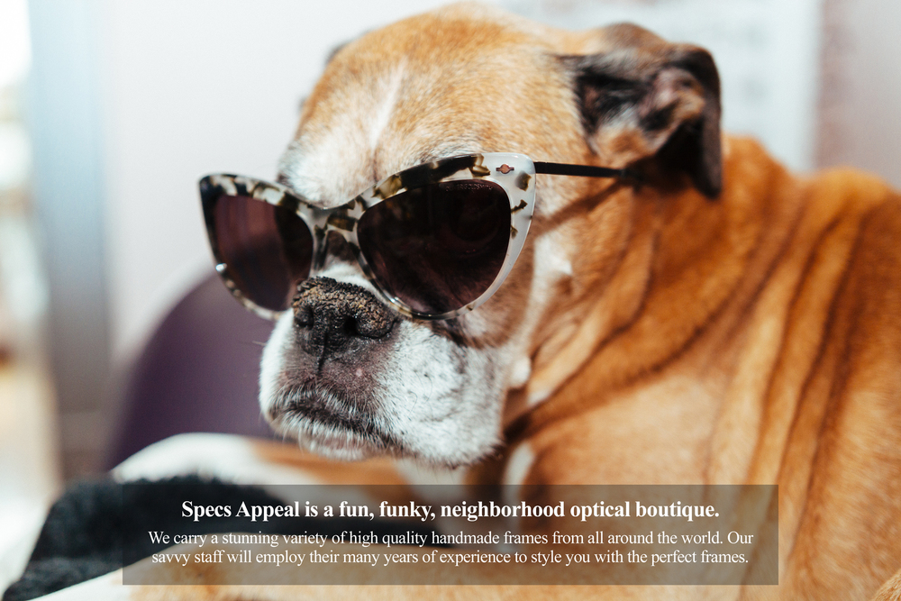 Specs Appeal Specs Appeal