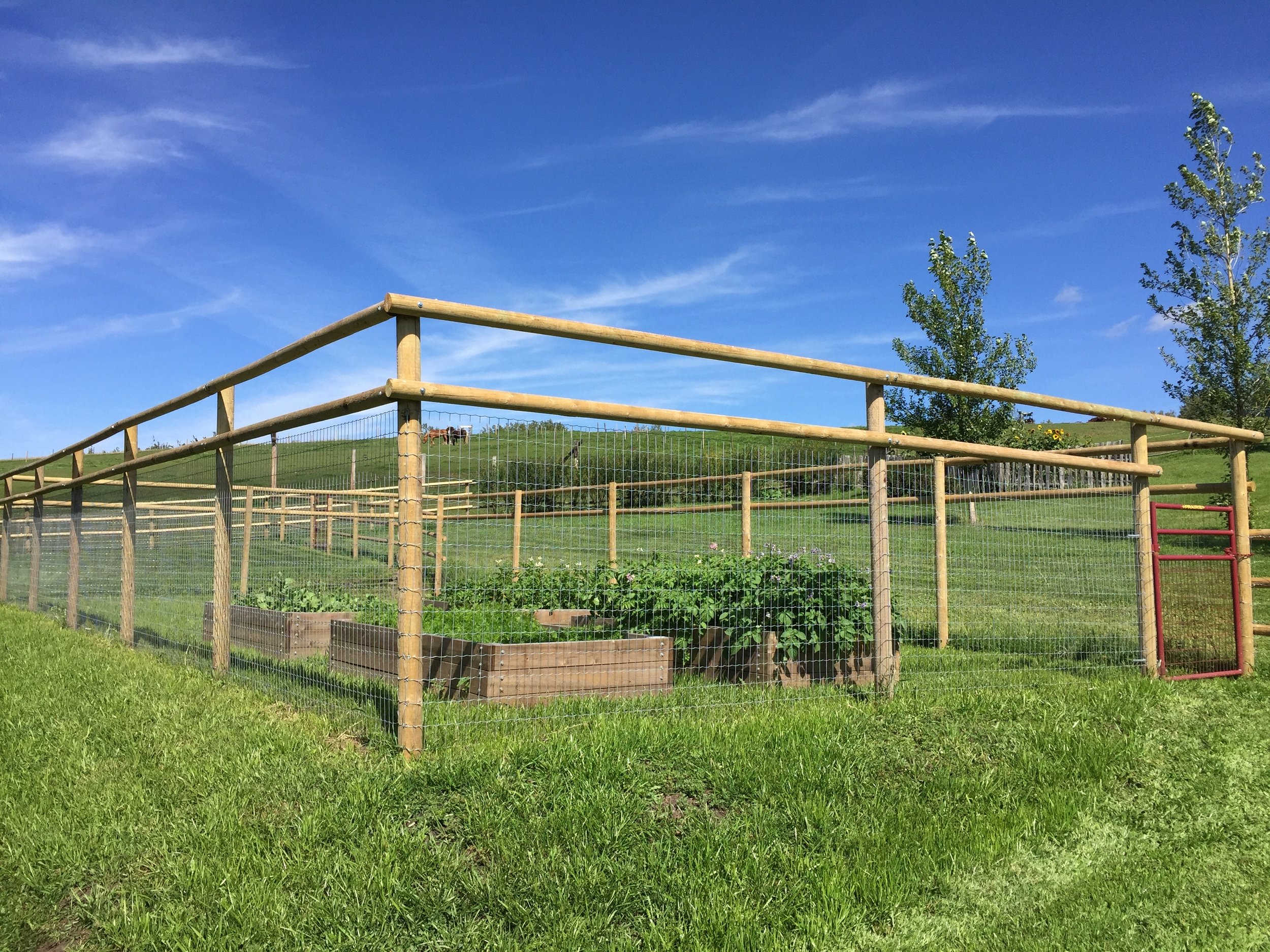 Dog and Garden fence for acreages — Foothills Fencing Inc