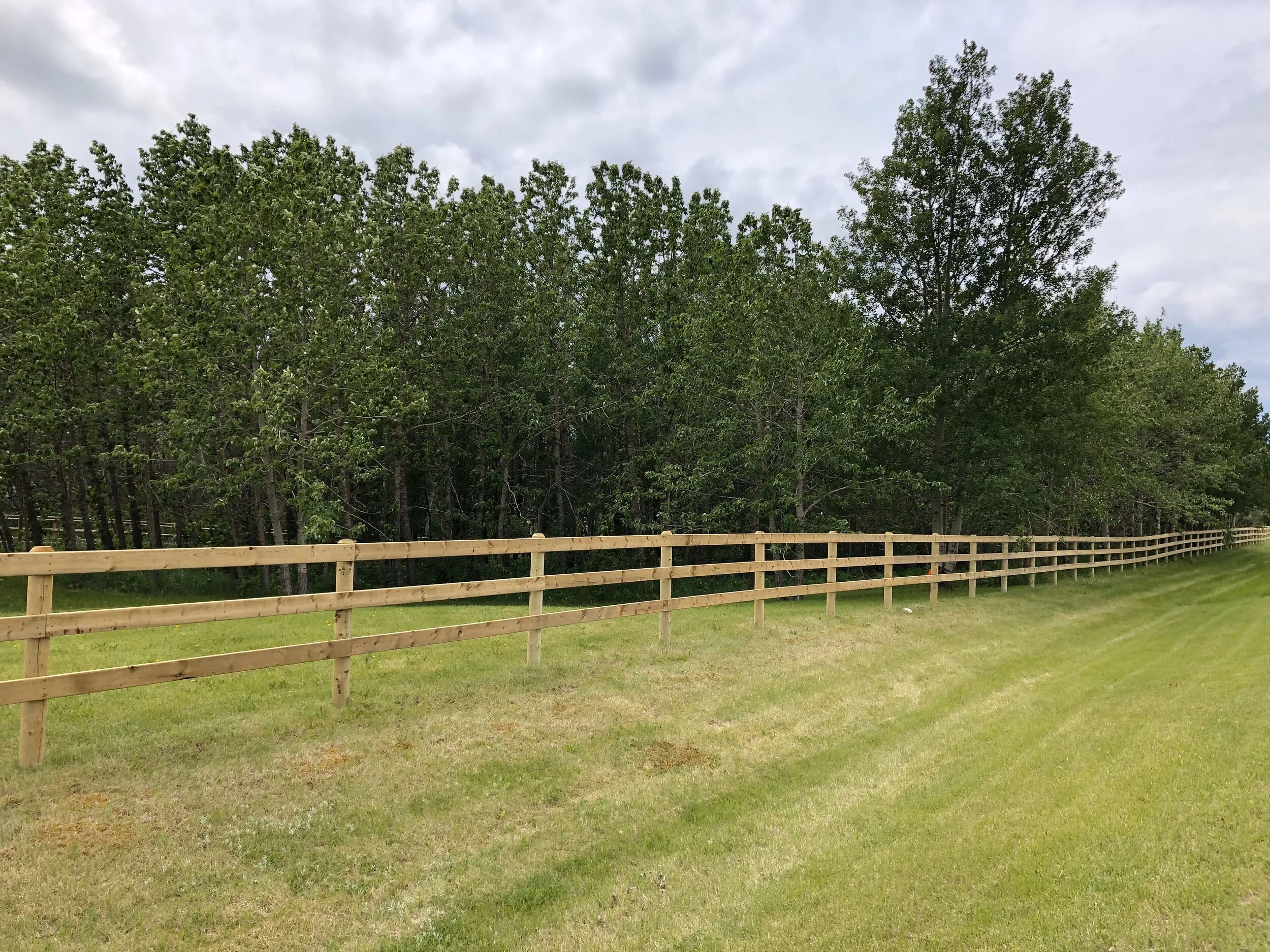 Post and plank horse fence on Bearspaw acreage.jpeg