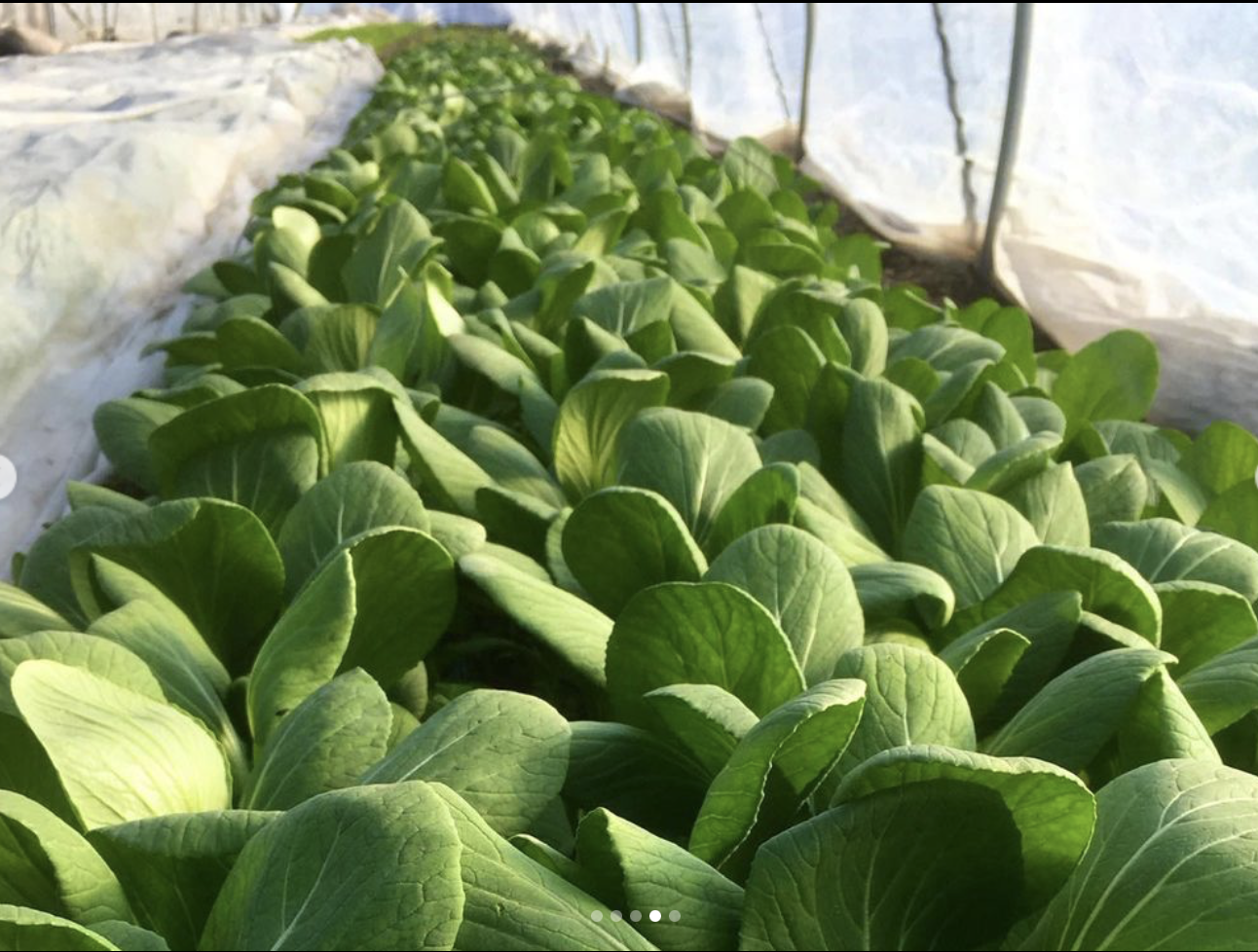 Screen Shot 2023-06-27 at 9.03.26 AM.png