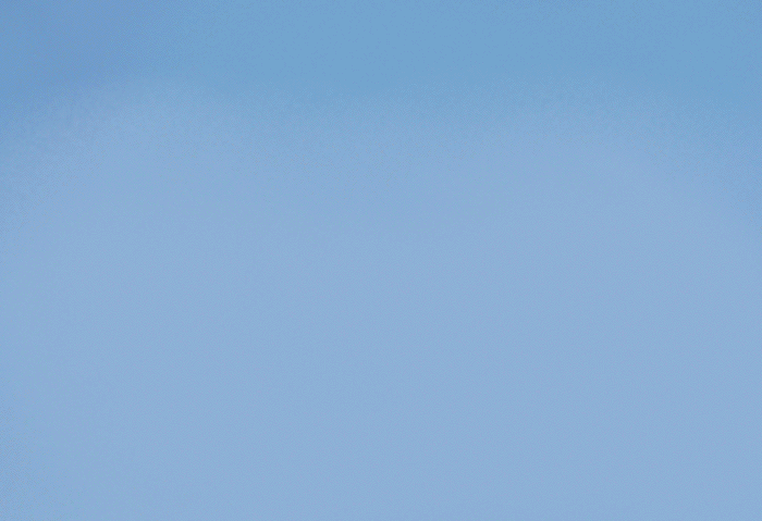 1463589548926.gif