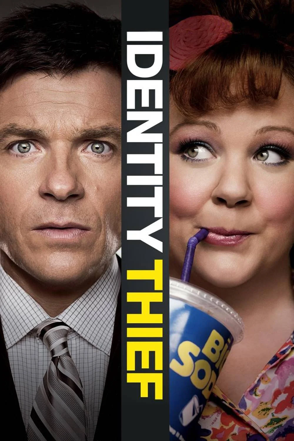 205066-identity-thief-identity-thief-poster-art.jpg