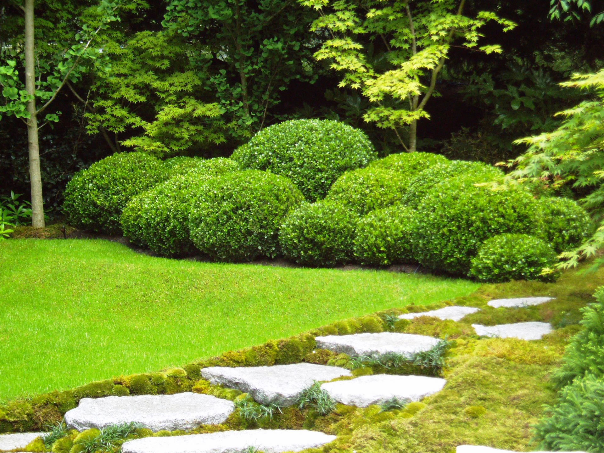 Box Cloud Hedging