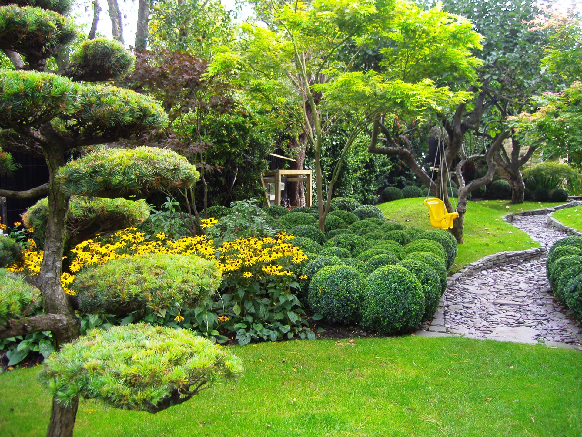 Box Cloud hedging & Pine Cloud Trees