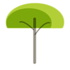 Parasol trees