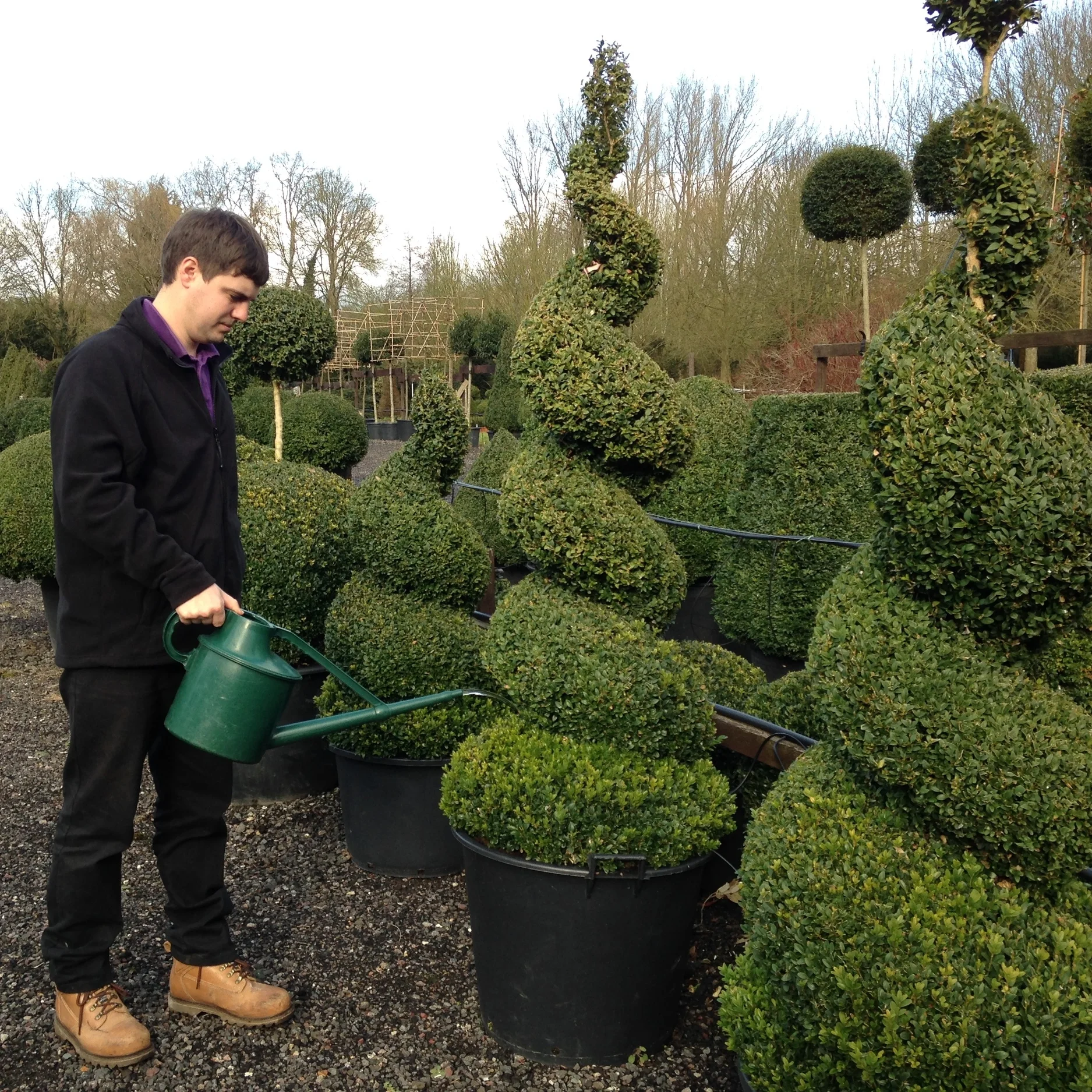 The Topiary Calendar... March