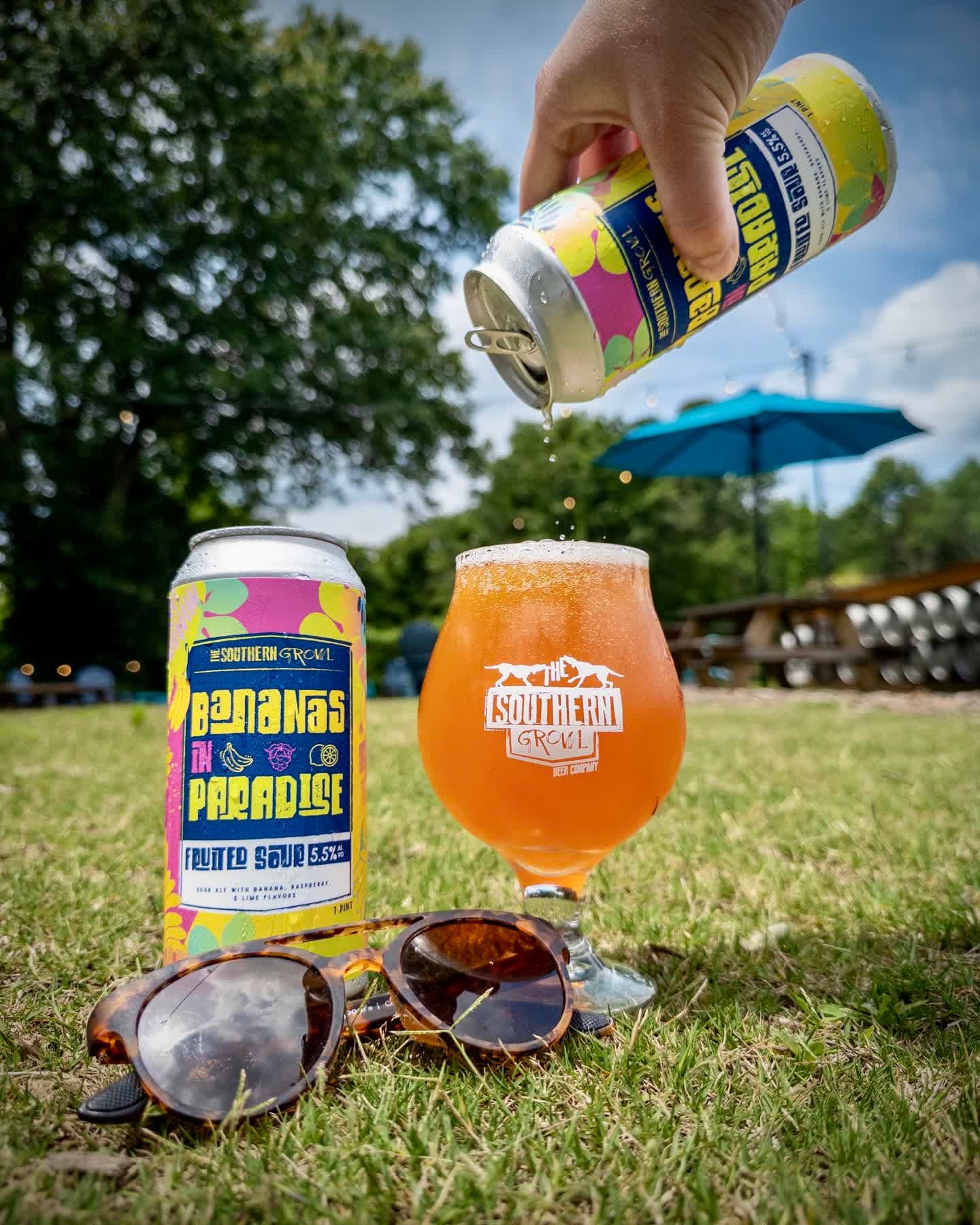 BANANAS IN PARADISE
Fruited Sour

Grab a cold one to celebrate the tropical taste of summer with island flavors of sweet banana, tart raspberry, and tangy lime. 

Bananas In Paradise available now on draft and in 16oz cans to-go. Full drink and food 