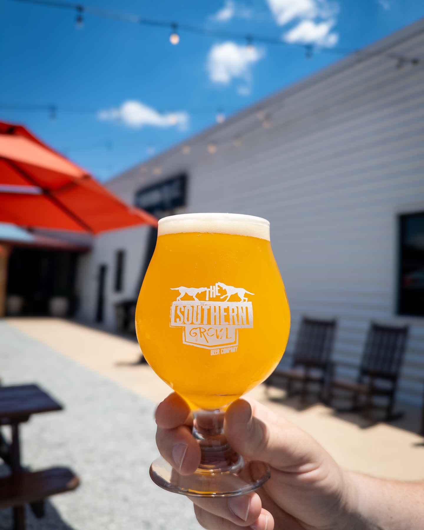 Join us for sips and sunshine this weekend!
Saturday we will have live music from Crutchfield on the patio, 7 - 10PM and Sunday, The Blood Connection will be here for a blood drive from 11AM - 5PM. 
Blood Drive appointments are available at the link 