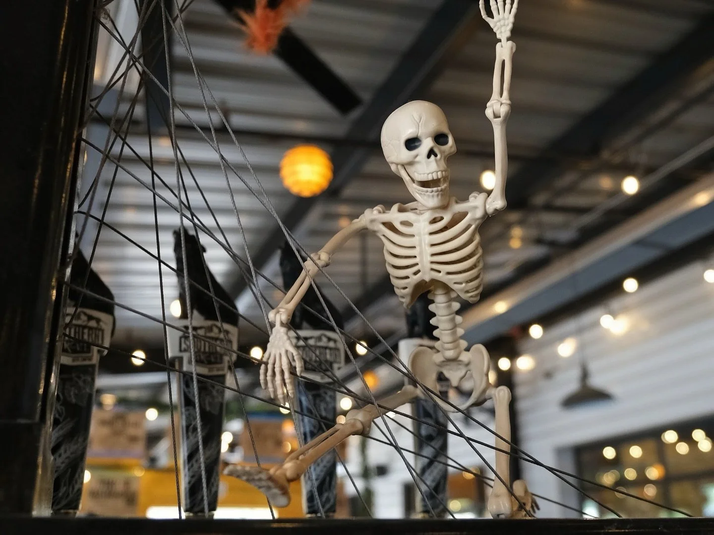 Growloween is bone to be wild and happening right now! 
All day festivities including spooky brews, killer cocktails, and live music from Throwin&rsquo; Bones tonight starting at 7PM! 
Grab your ghoul-friends and let&rsquo;s party all day long!

#tsg
