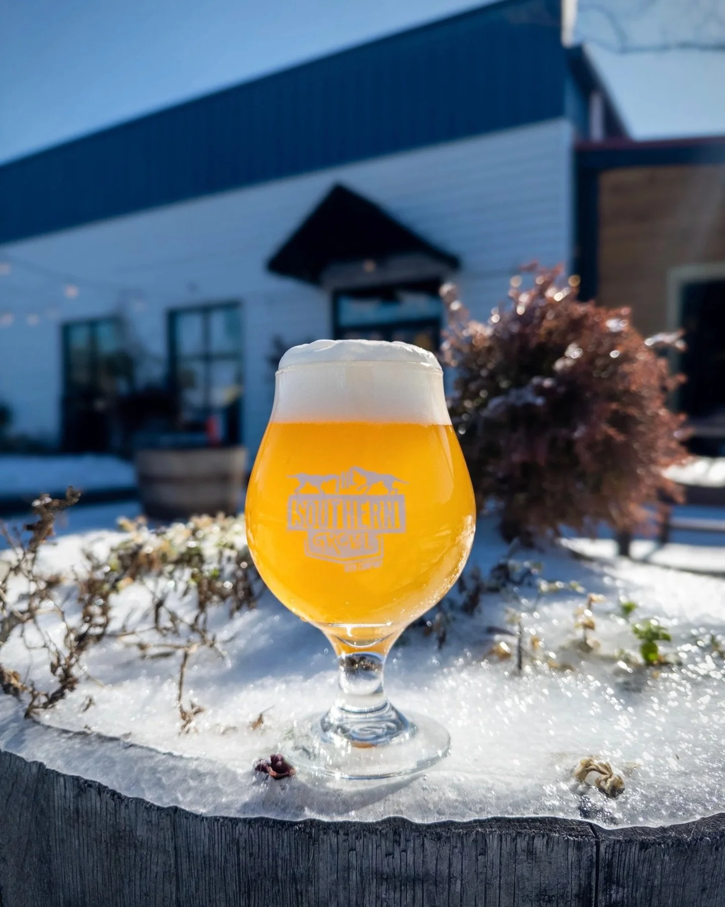 We are back to normal hours! Come see us today, we are open now until 10pm, with kitchen closing at 9pm. 
This Thursday, Boardwalk is back for Game Night, from 6-9pm. And Taylor Corum is returning for Bluegrass Brunch this Saturday, from 10am - 2pm!