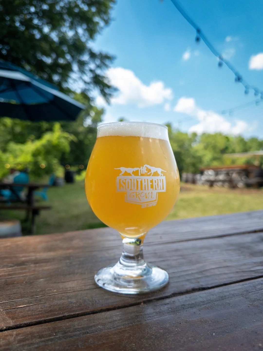 Join us for Game Night on Thursday, starting at 6PM. Boardwalk will be here with a curated collection of games and their expertise! And Swamp Rabbit Bluegrass Band will be here for Bluegrass Brunch this Saturday🎶