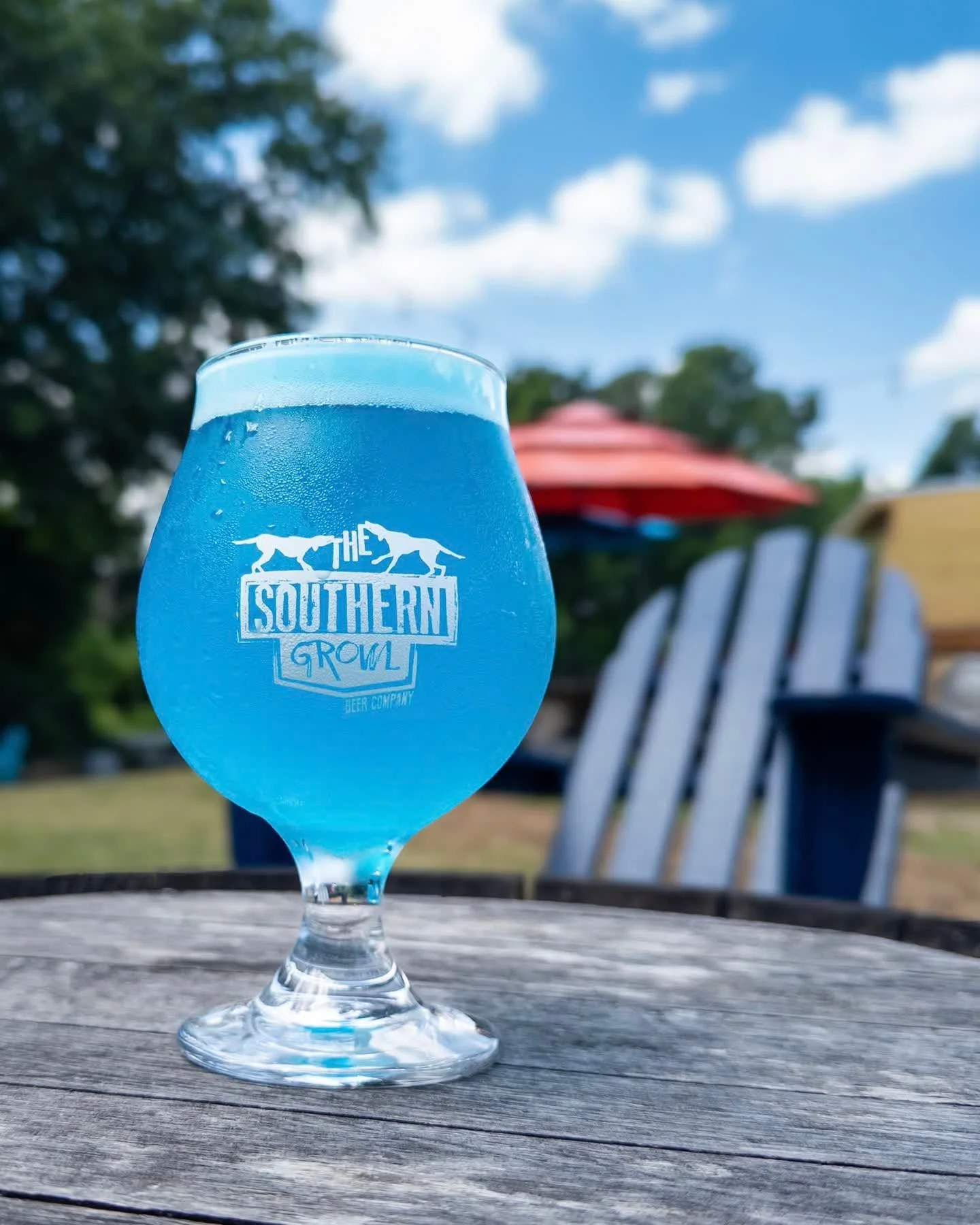 SHARK TANK SELTZER
Hard Seltzer, 7%
Dive into this dangerously drinkable seltzer and swim amongst the sweet tropical predators and waves of electric blue citrus.

Shark Tank Seltzer available on draft now. Full drink and food menus available on our w
