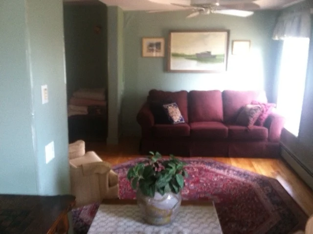 317 Pine Hill 5.jpg