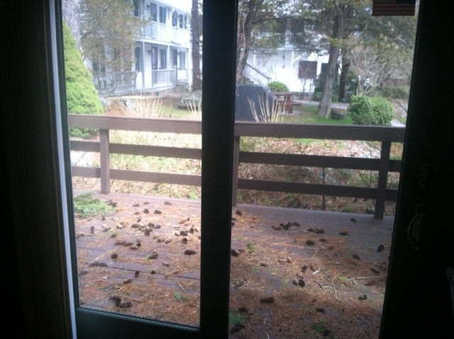 317 Pine Hill 6.jpg