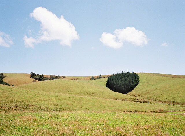 02.jpg
