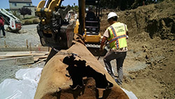 San Carlos UST Removal
