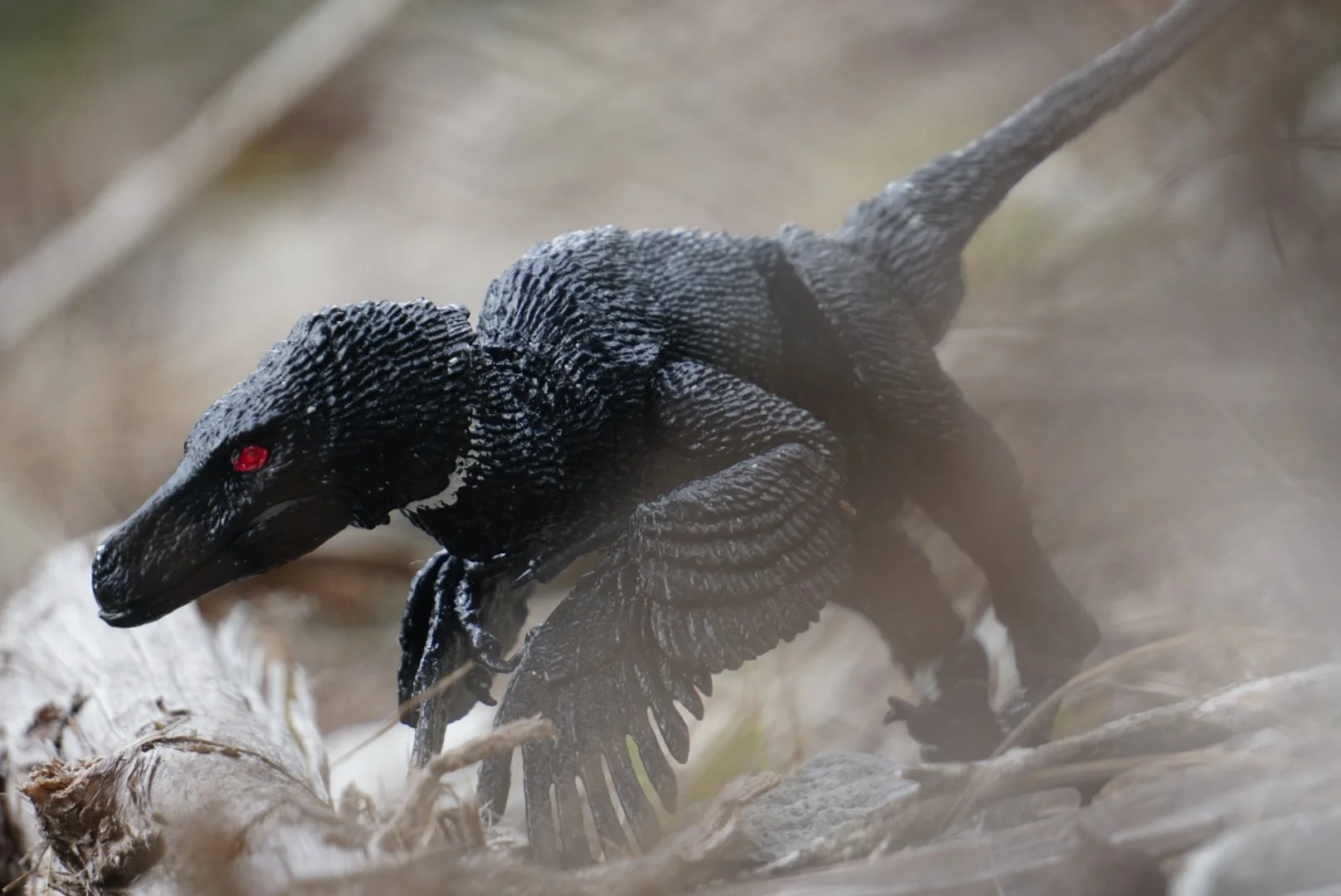 Dromaeosaur