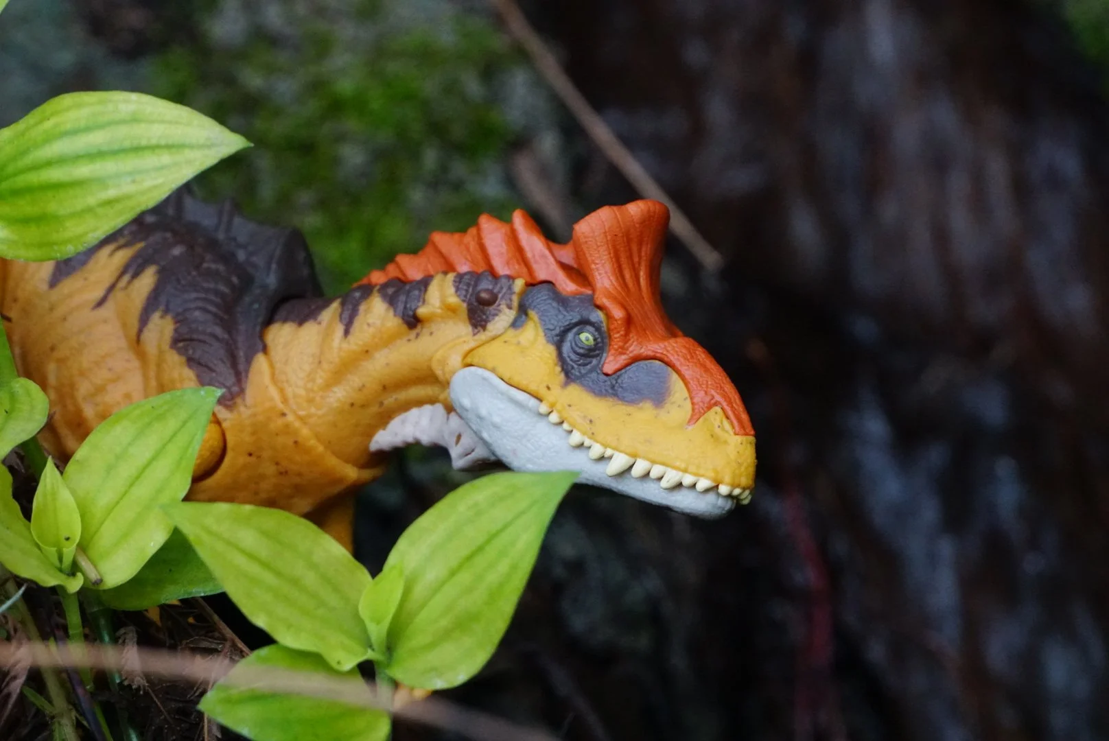Cryolophosaurus