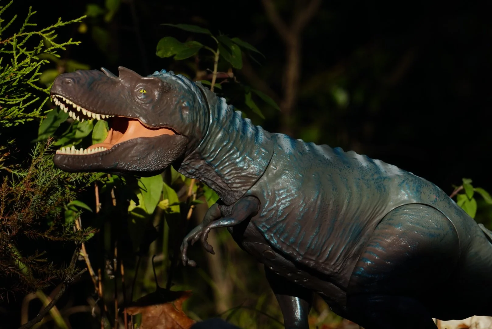 Gorgosaurus