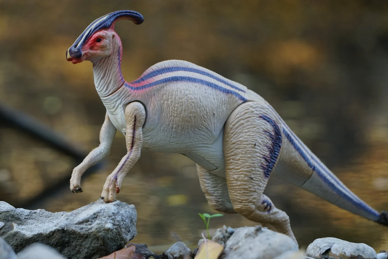 Parasaurolophus