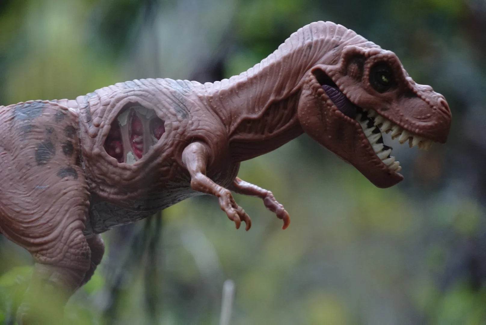 Tyrannosaurus