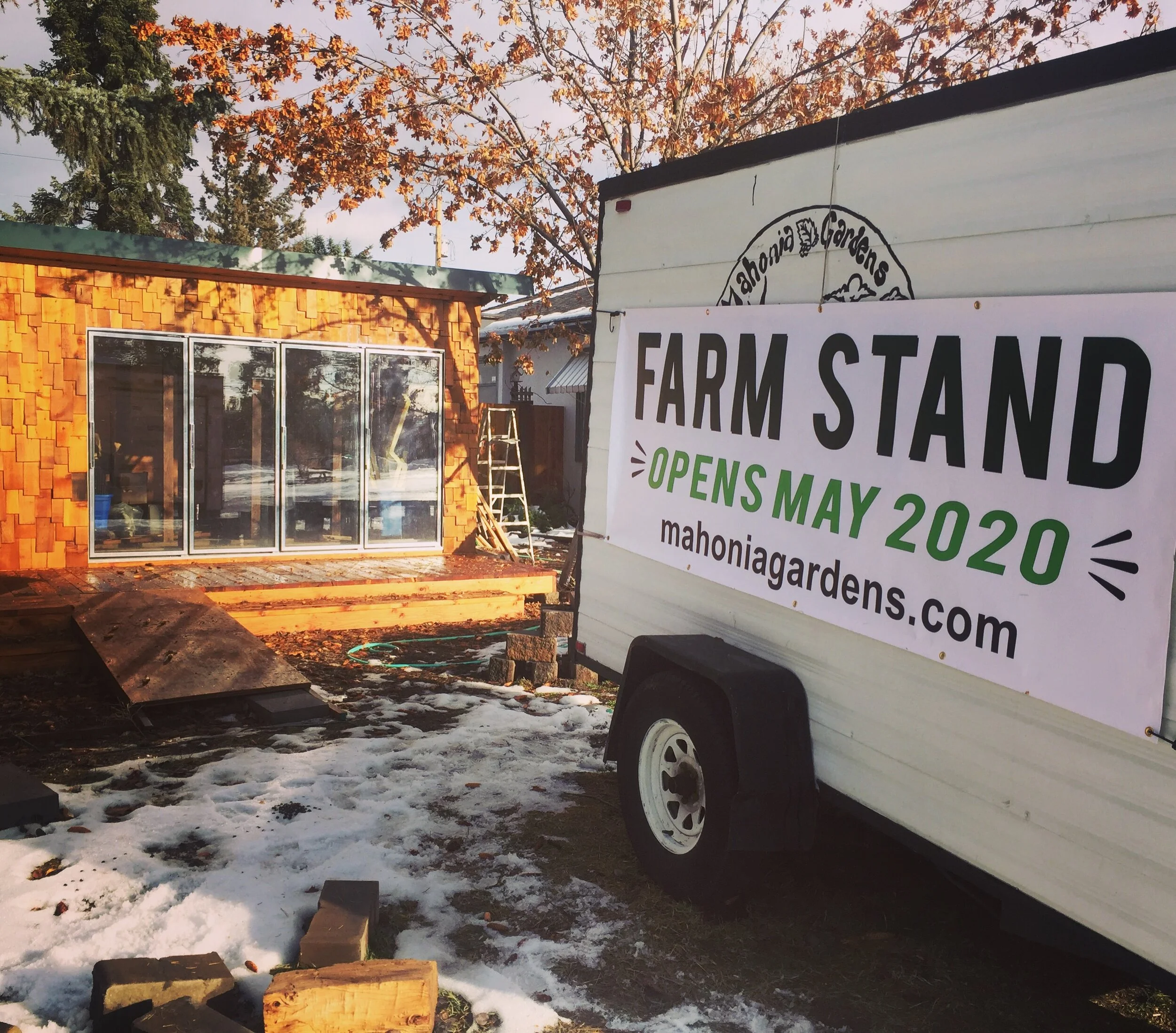 The Stand-- Grand Opening-- Friday, May 1st 2020