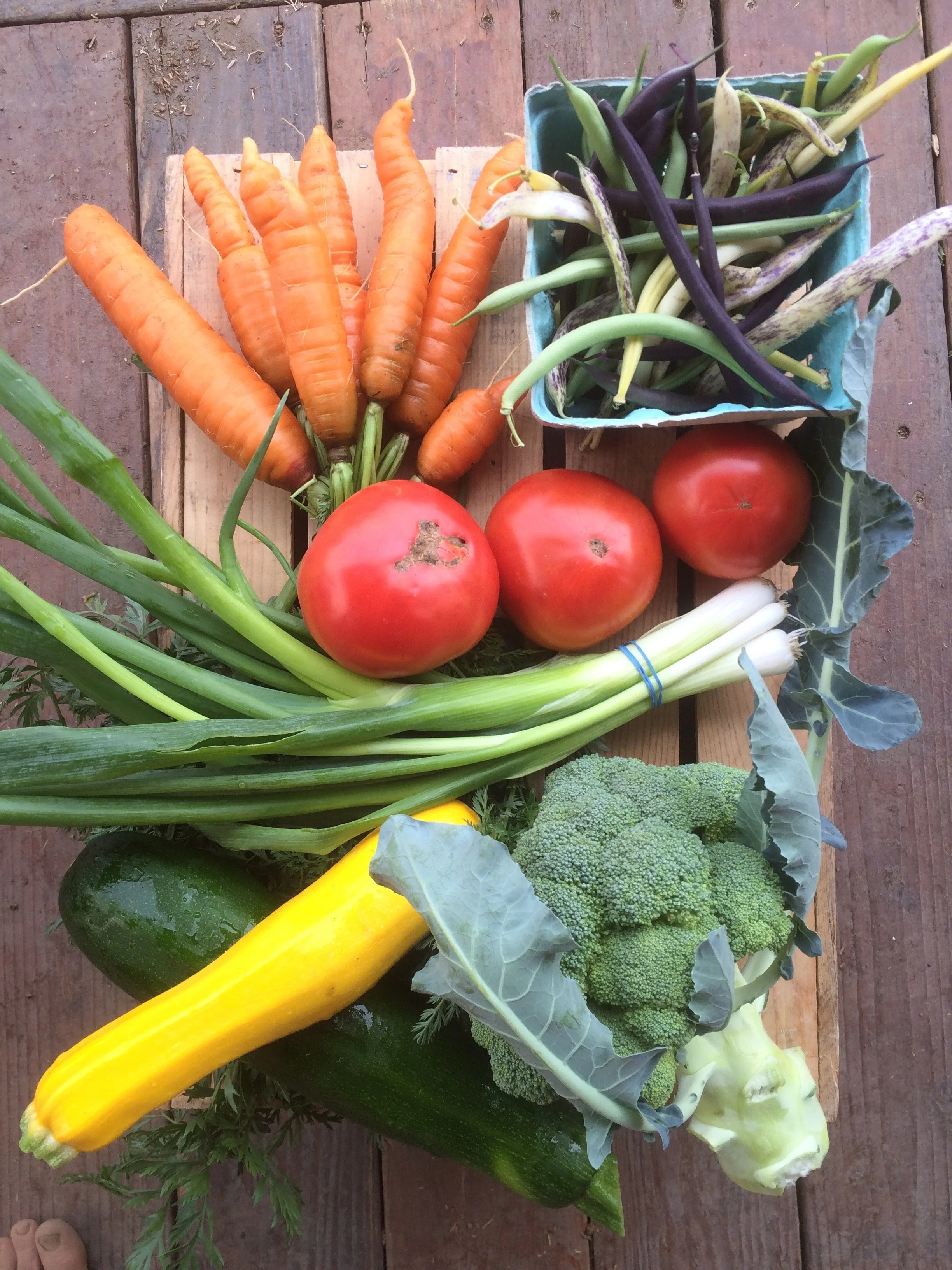 Introductory CSA Share