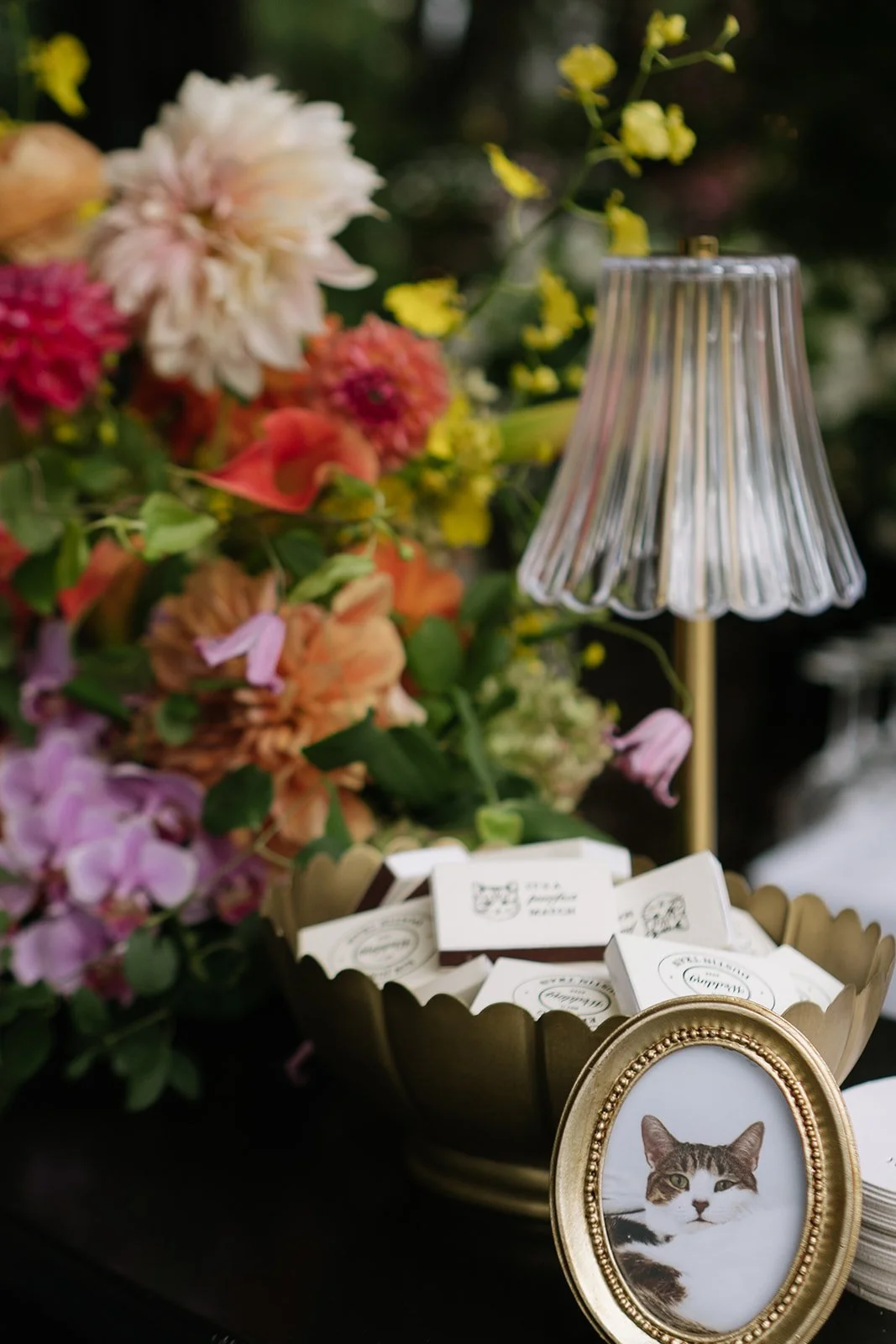 Dustin & Ein-200_websize.jpg