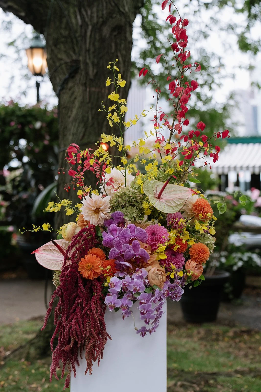 Dustin & Ein-322_websize.jpg