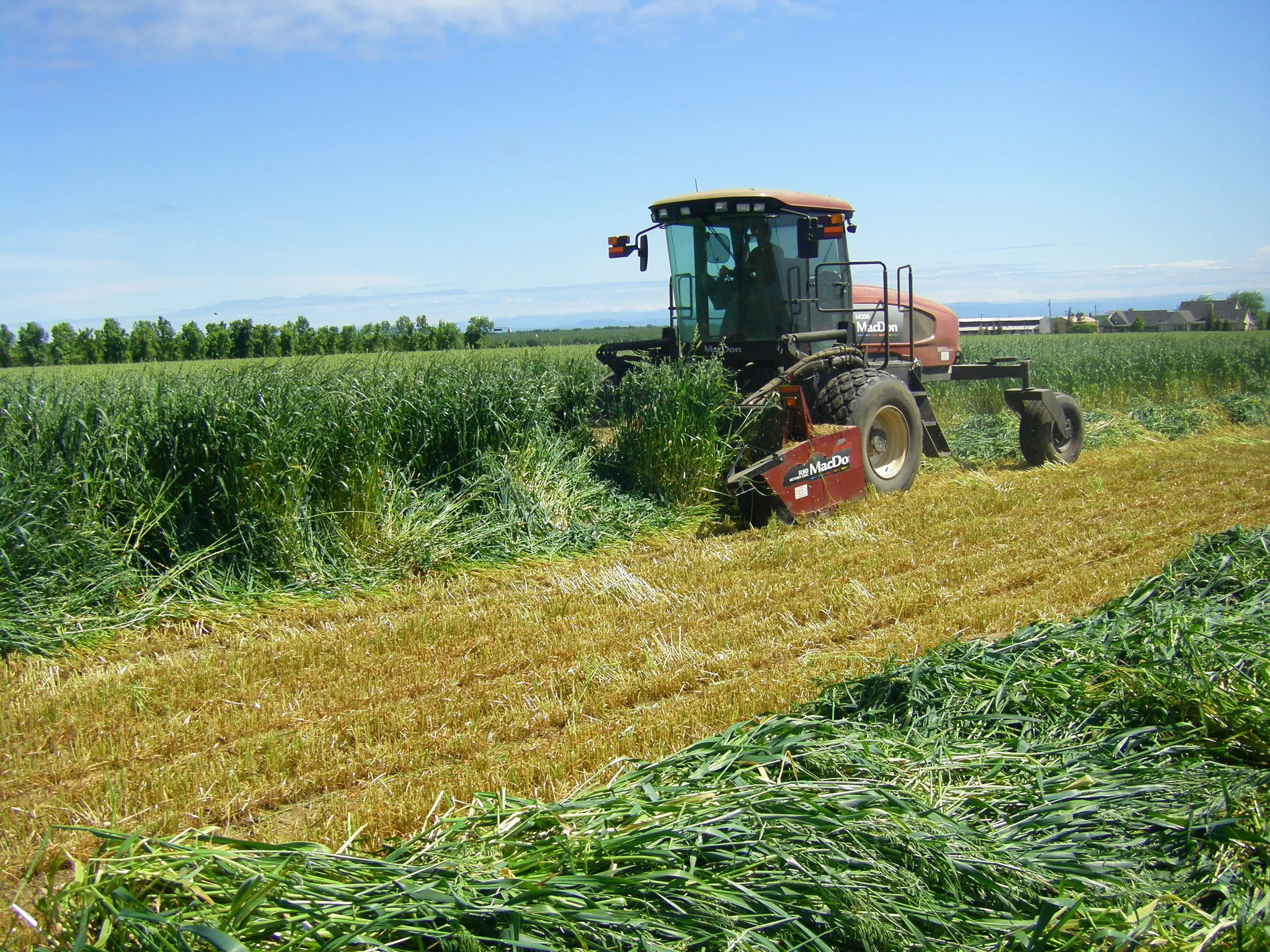 9404 Forage Mix