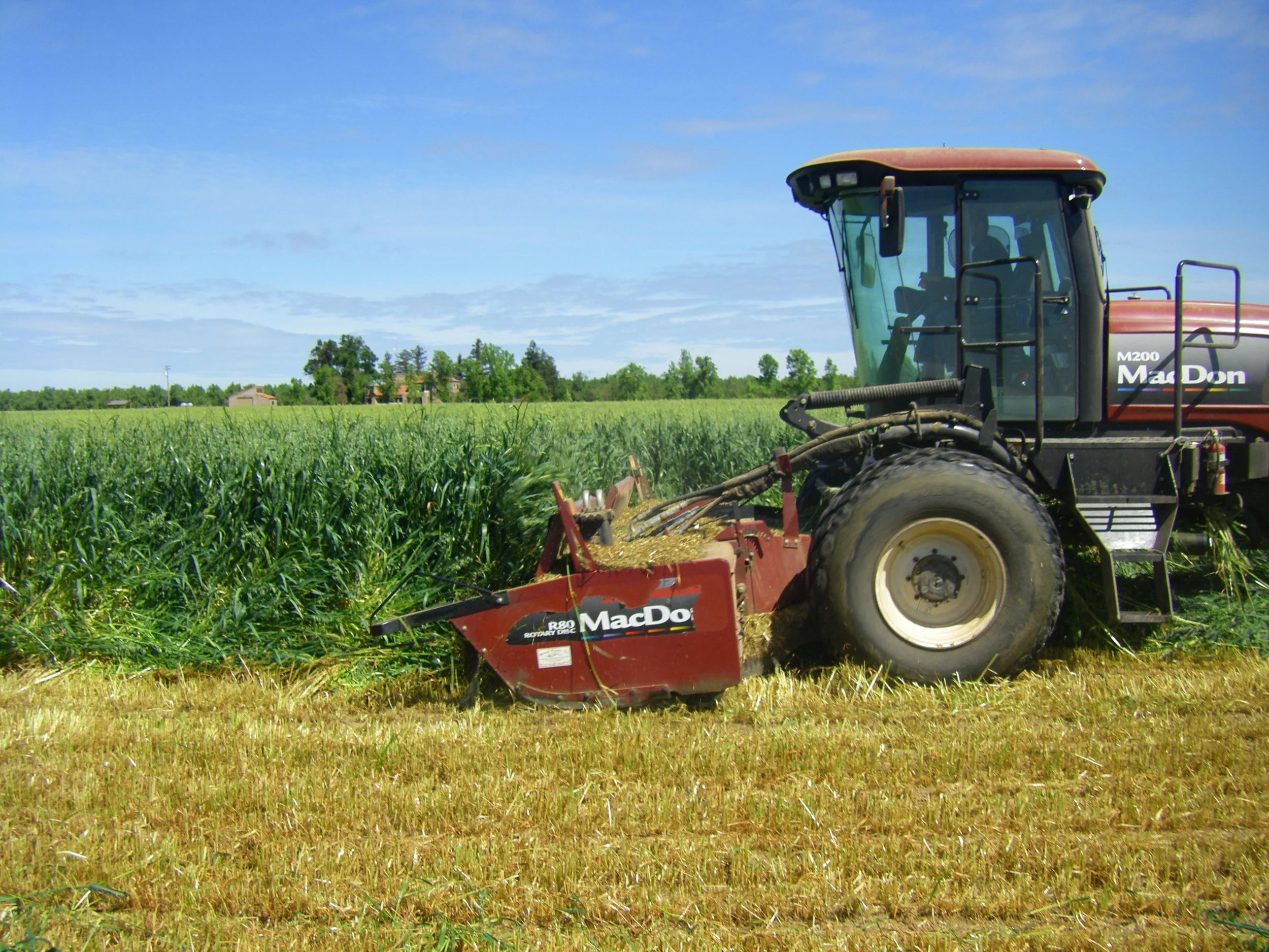 bluebale w-rye.jpg