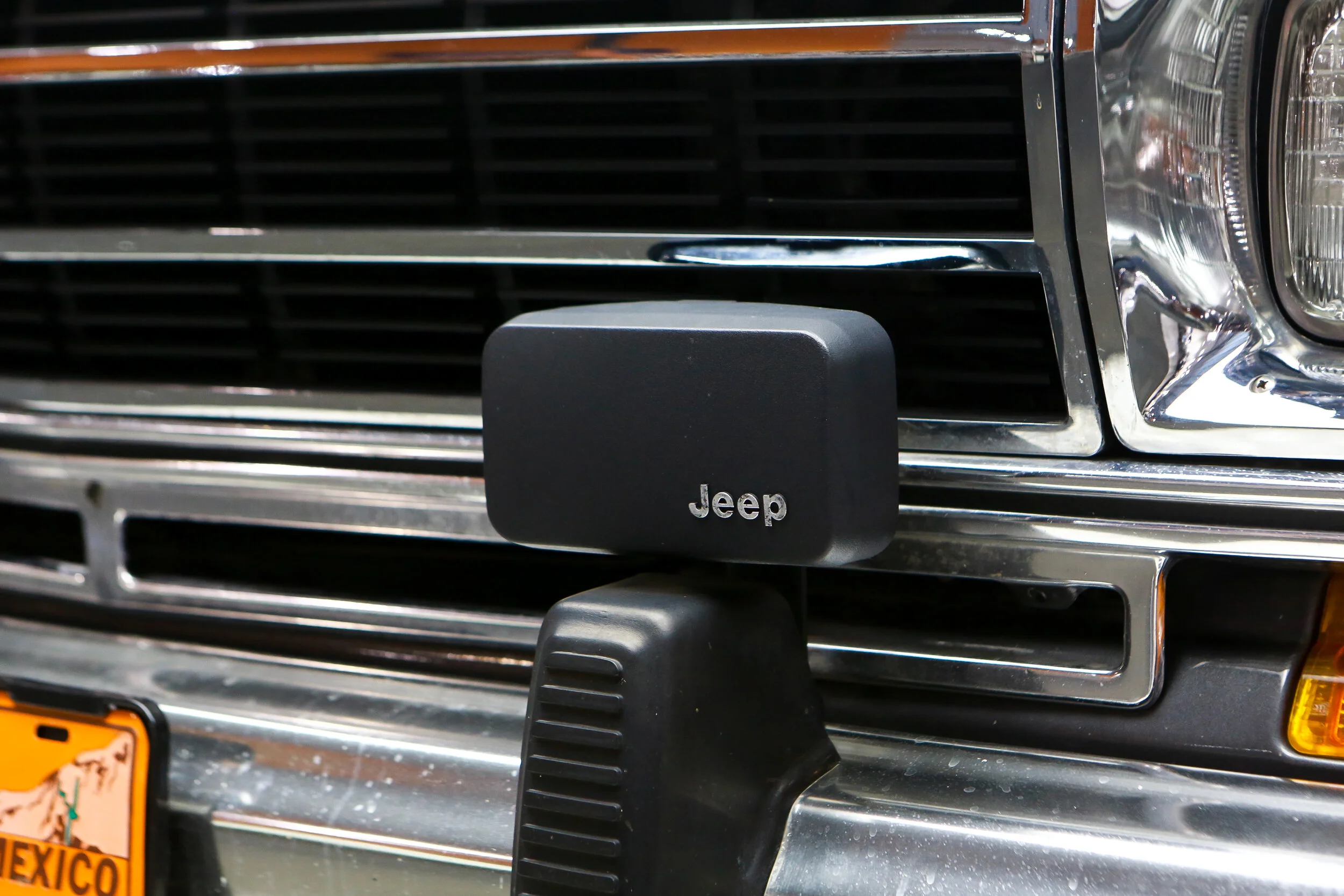 ROBERT_BASSAM_JEEP_GRAND_WAGONEER_BLUE_1989 (57).jpg