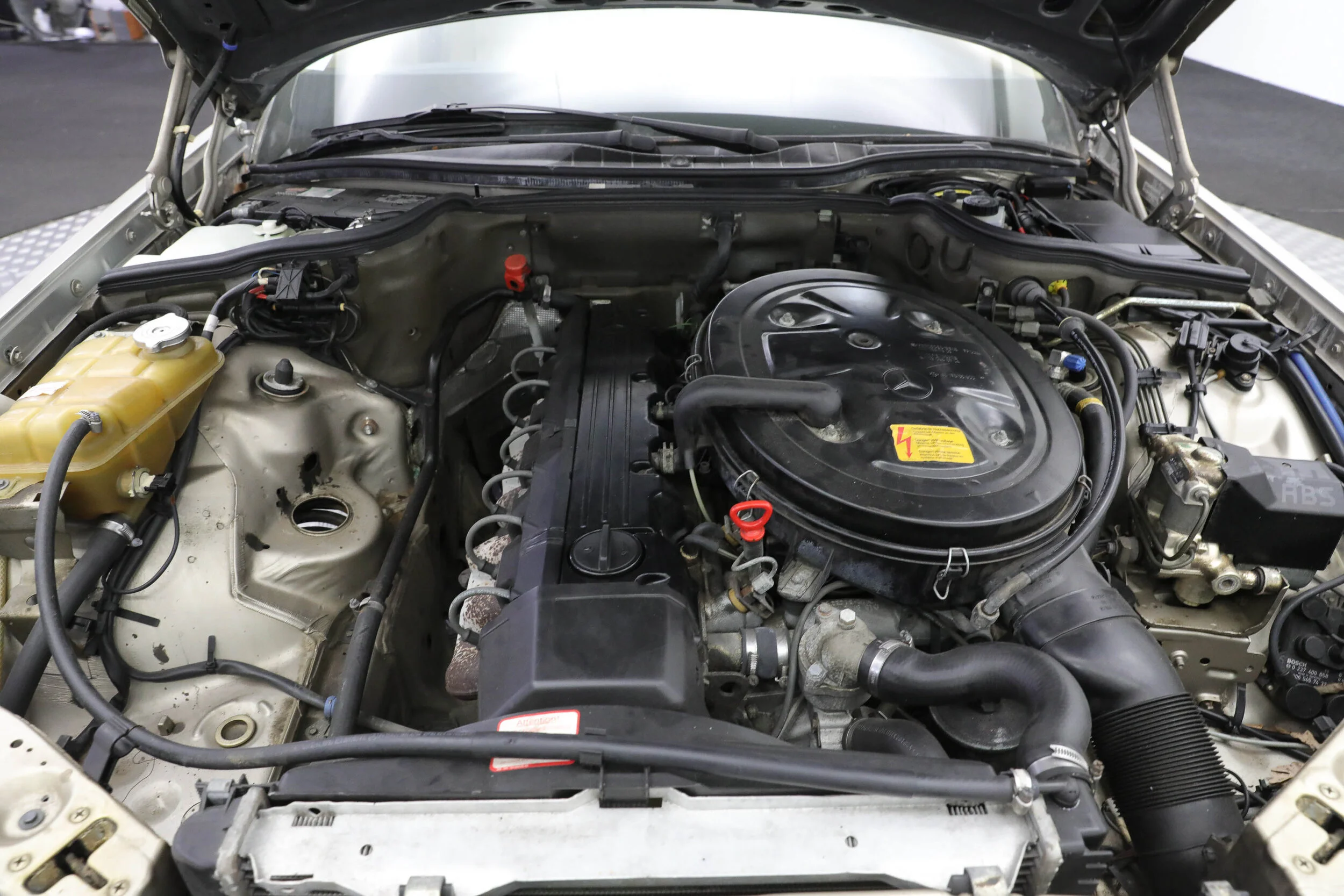 5L2A4636.jpg
