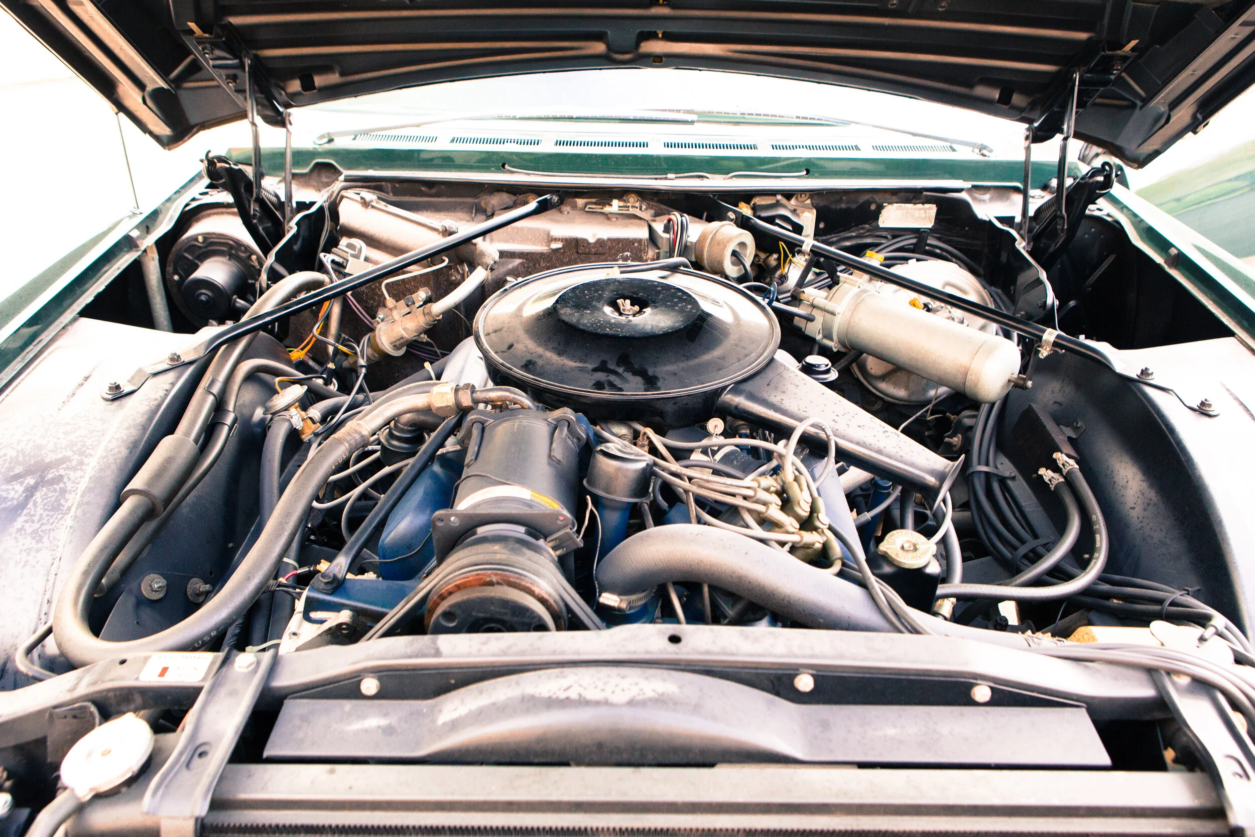 RB Cars-59.jpg