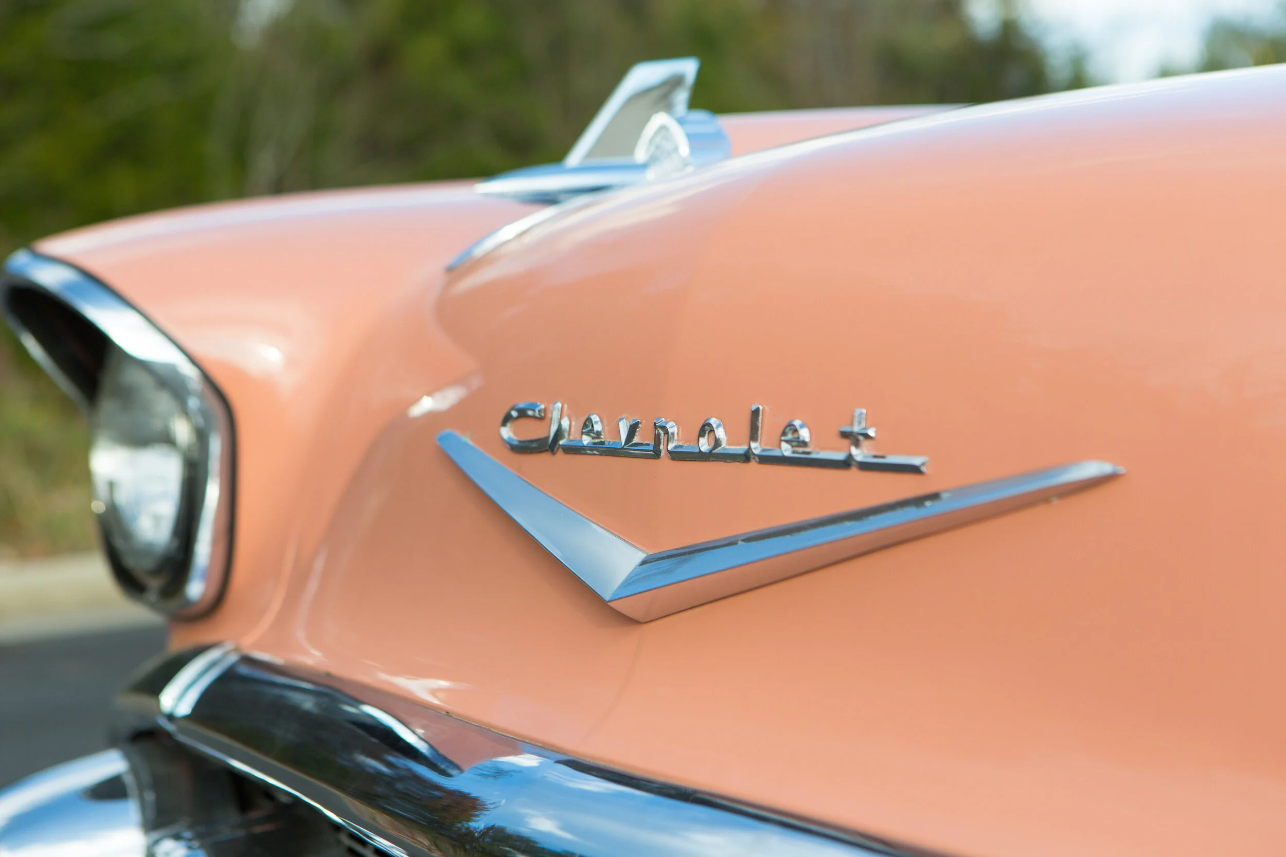 RB Cars-10.jpg