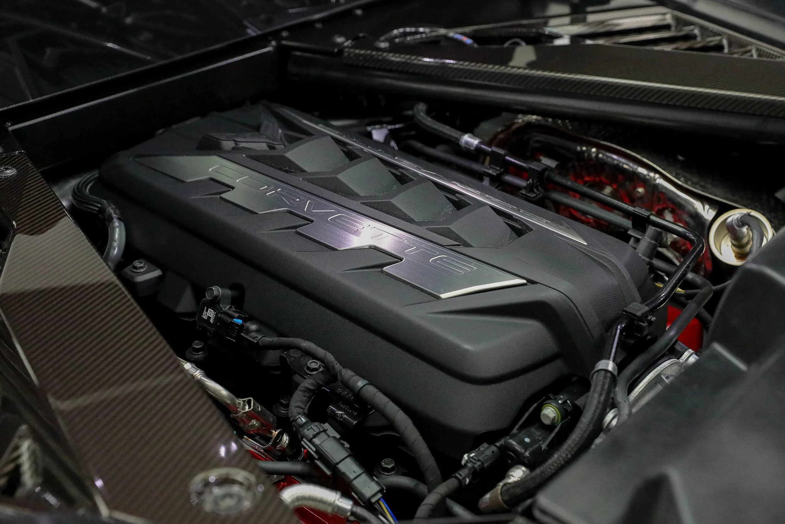 5L2A8970.jpg