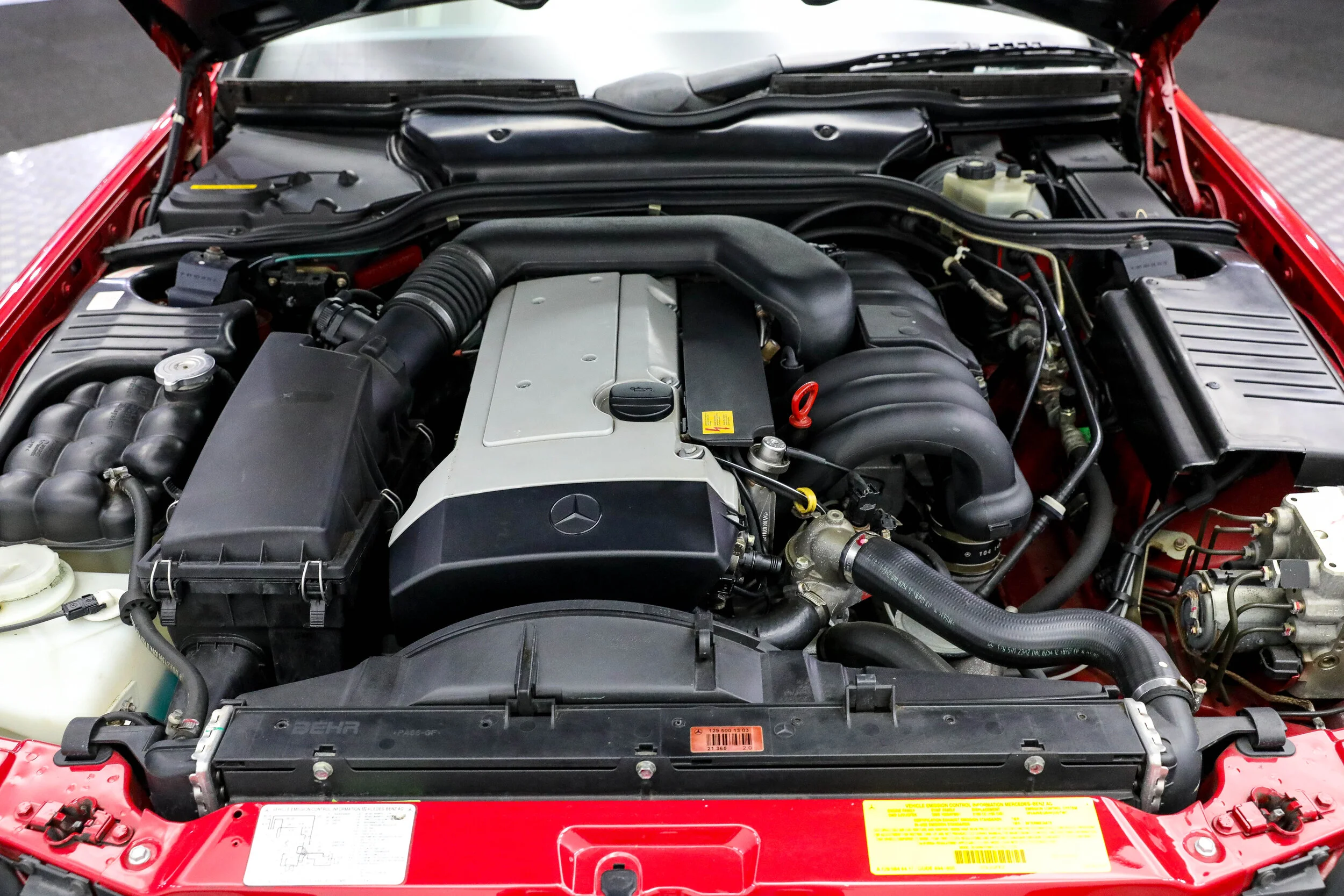 5L2A3828.jpg