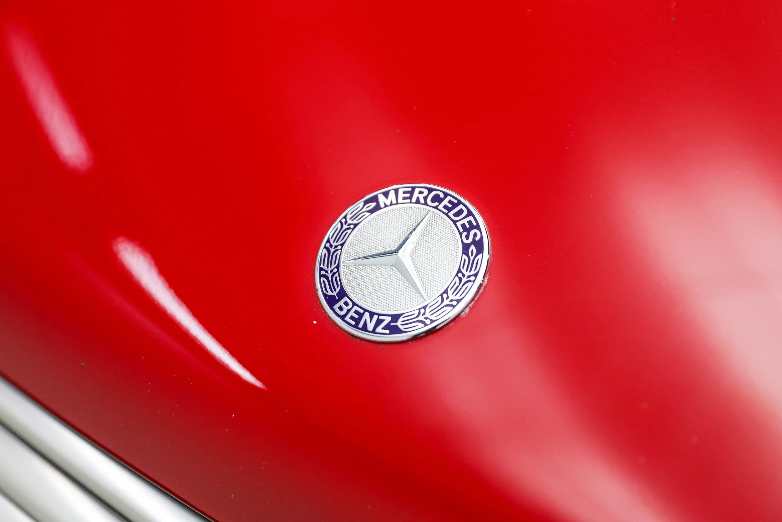 5L2A3833-2.jpg