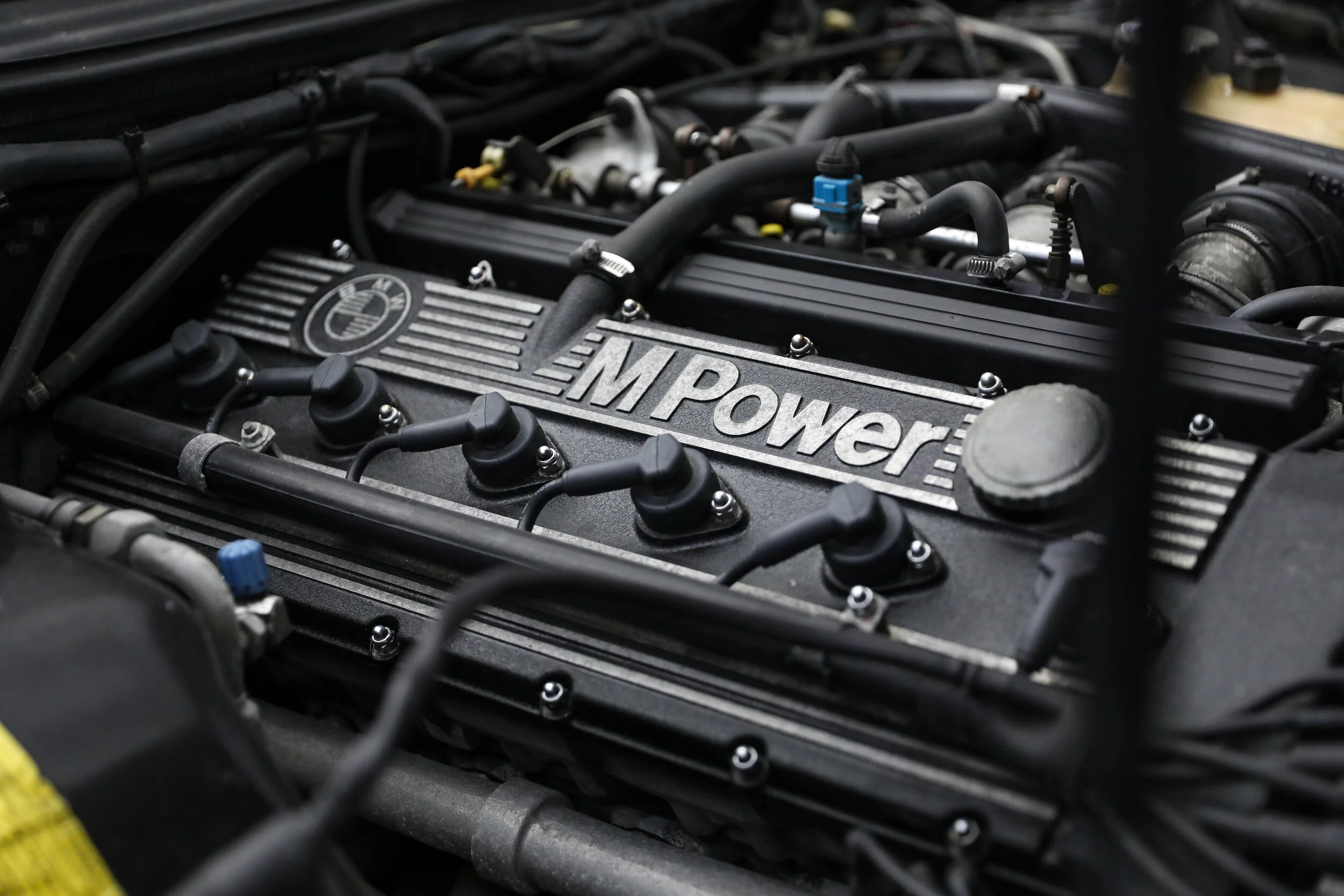 5L2A5294.jpg