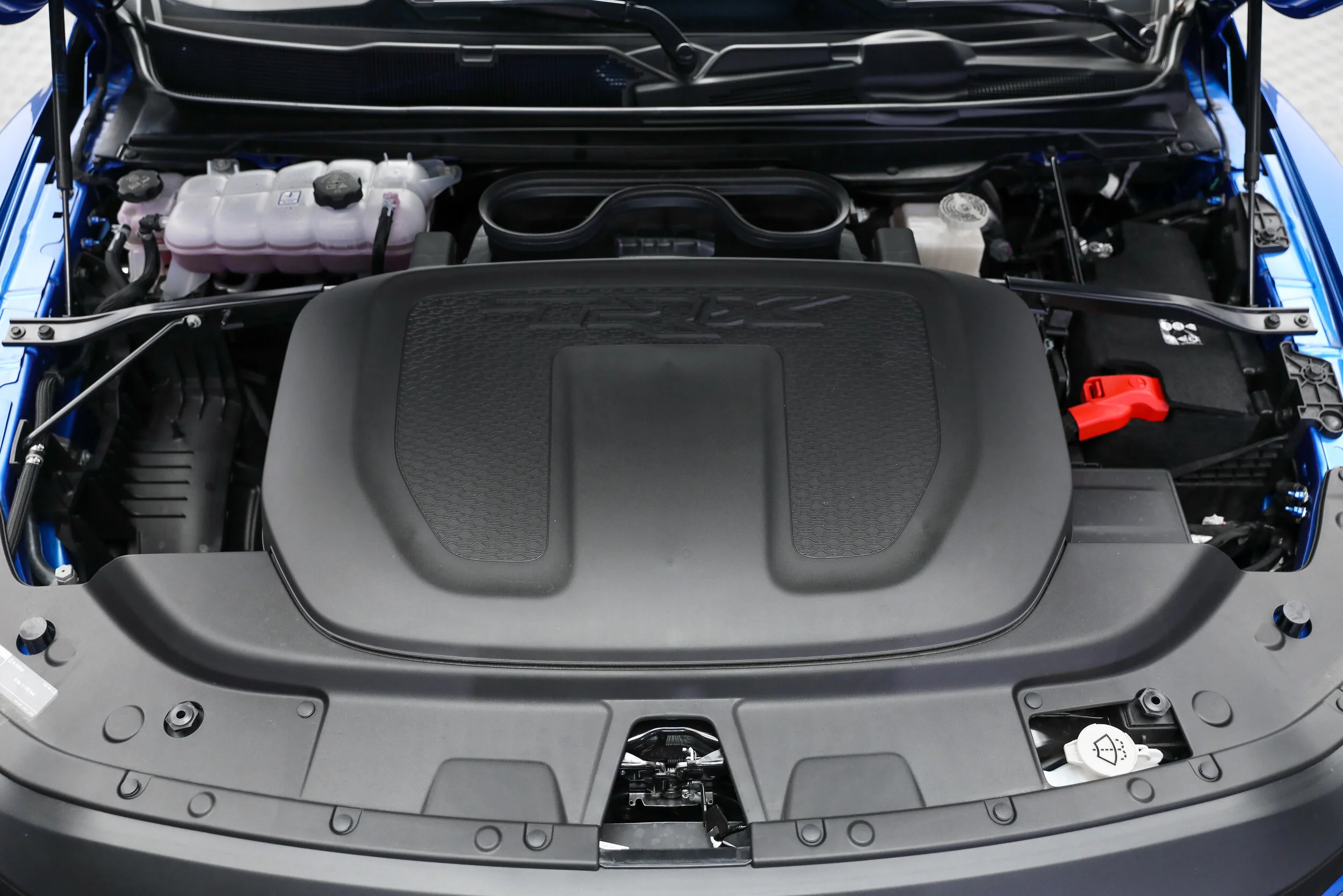 5L2A5617.jpg