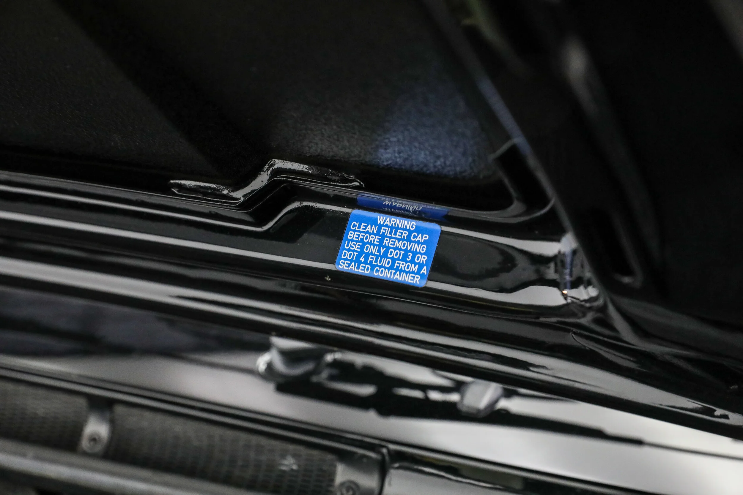 5L2A9963.jpg
