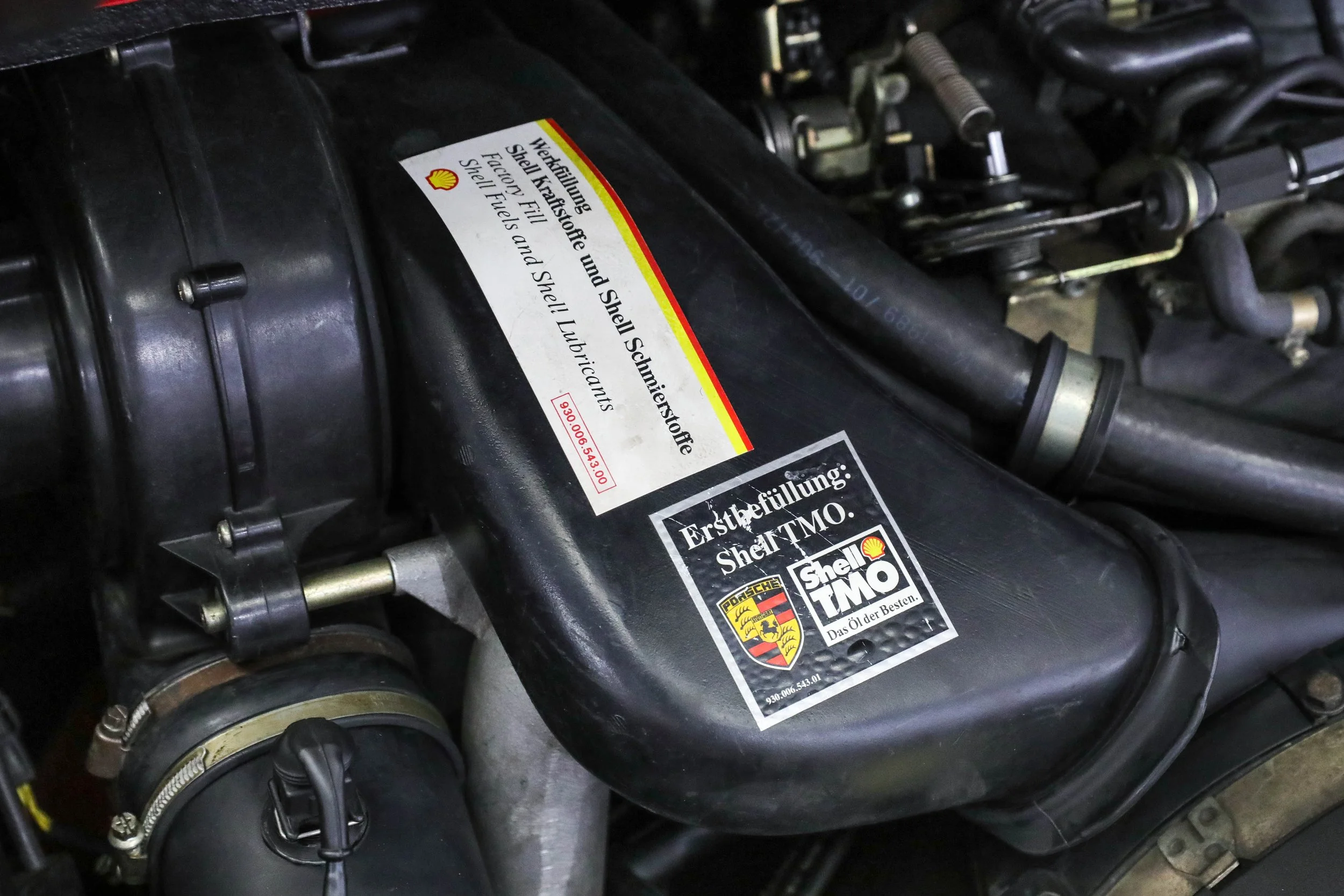 5L2A2356.jpg