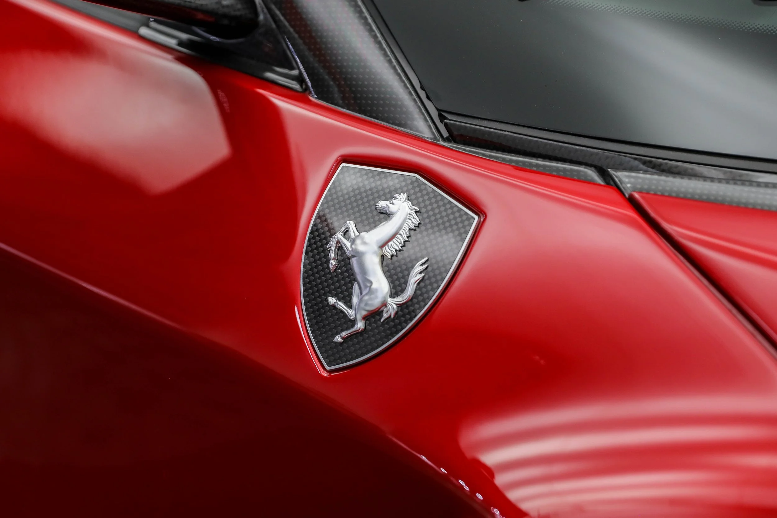 5L2A4978.jpg