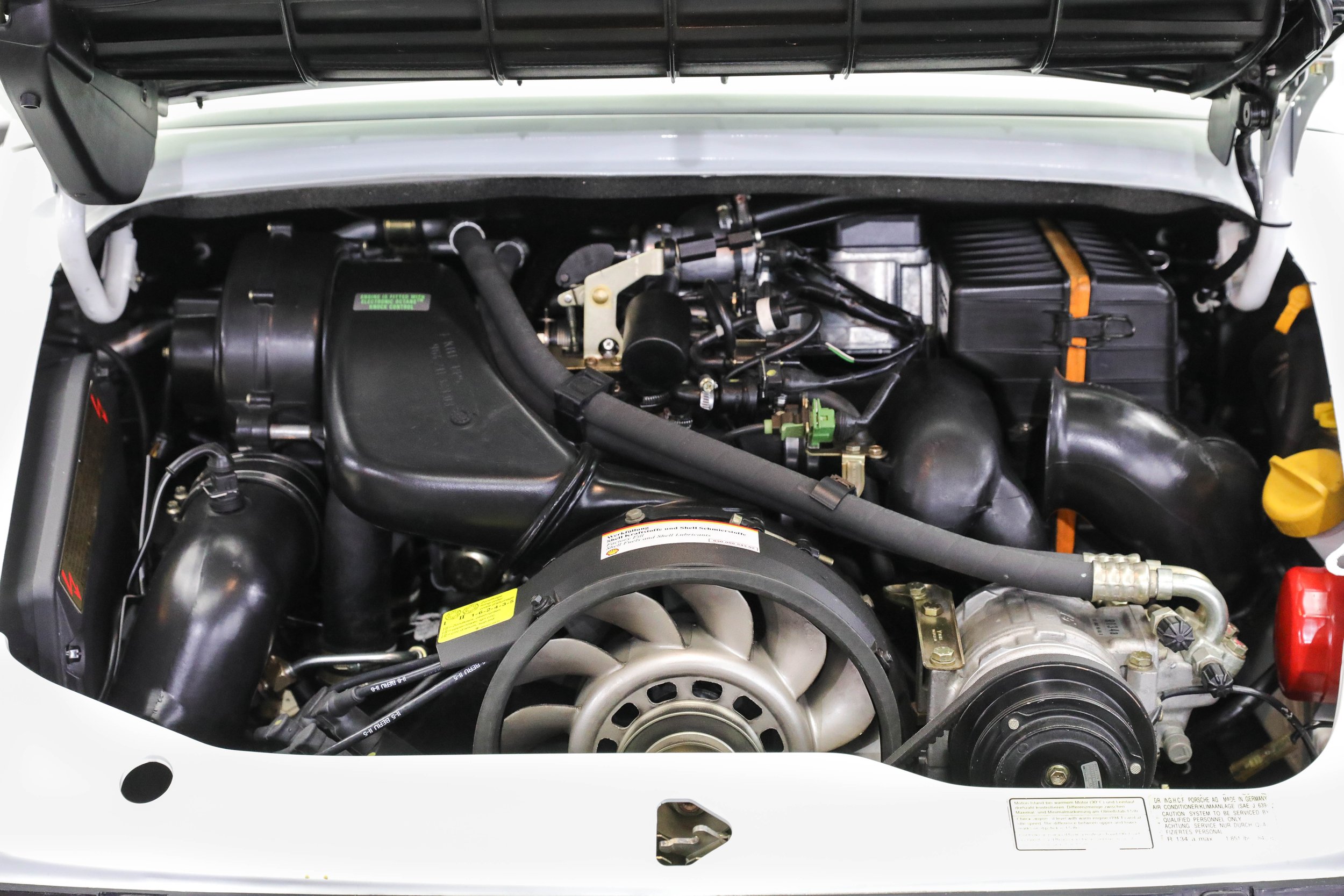 5L2A9300.jpg