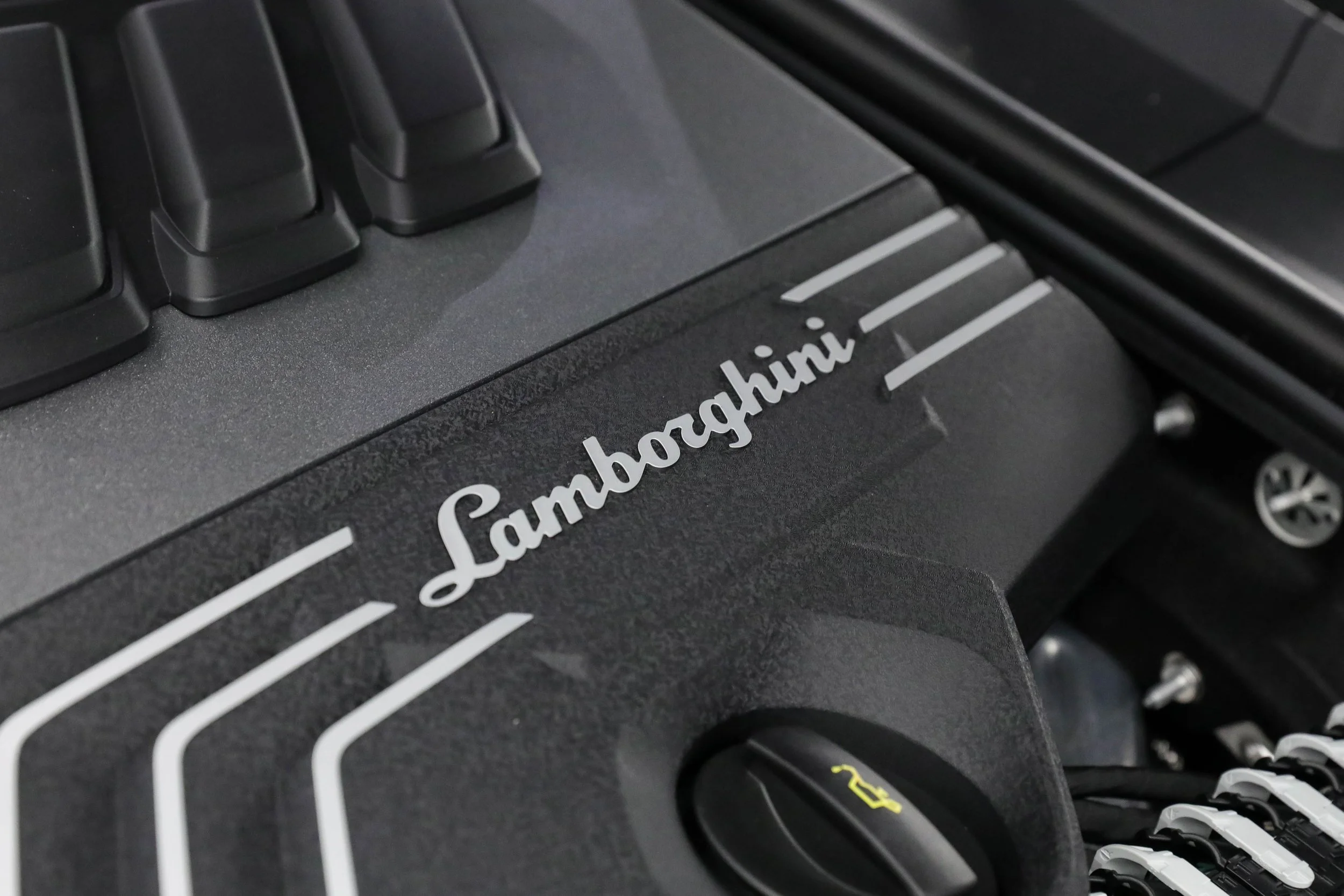 5L2A2976.jpg