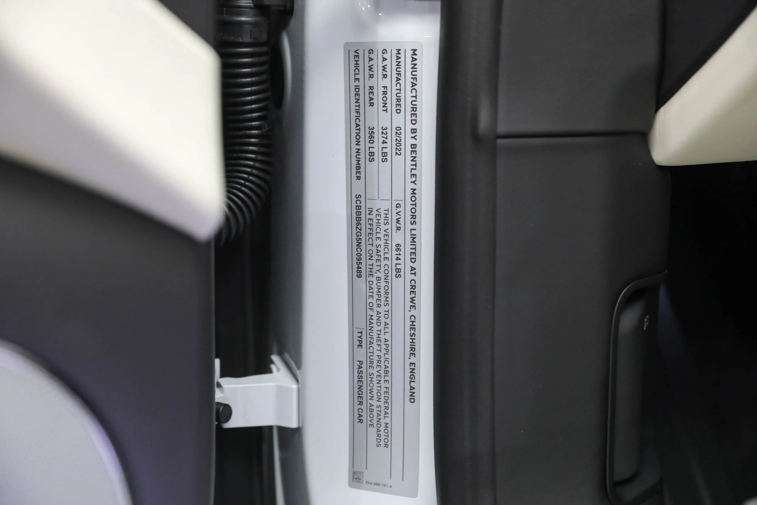 5L2A0100.jpg