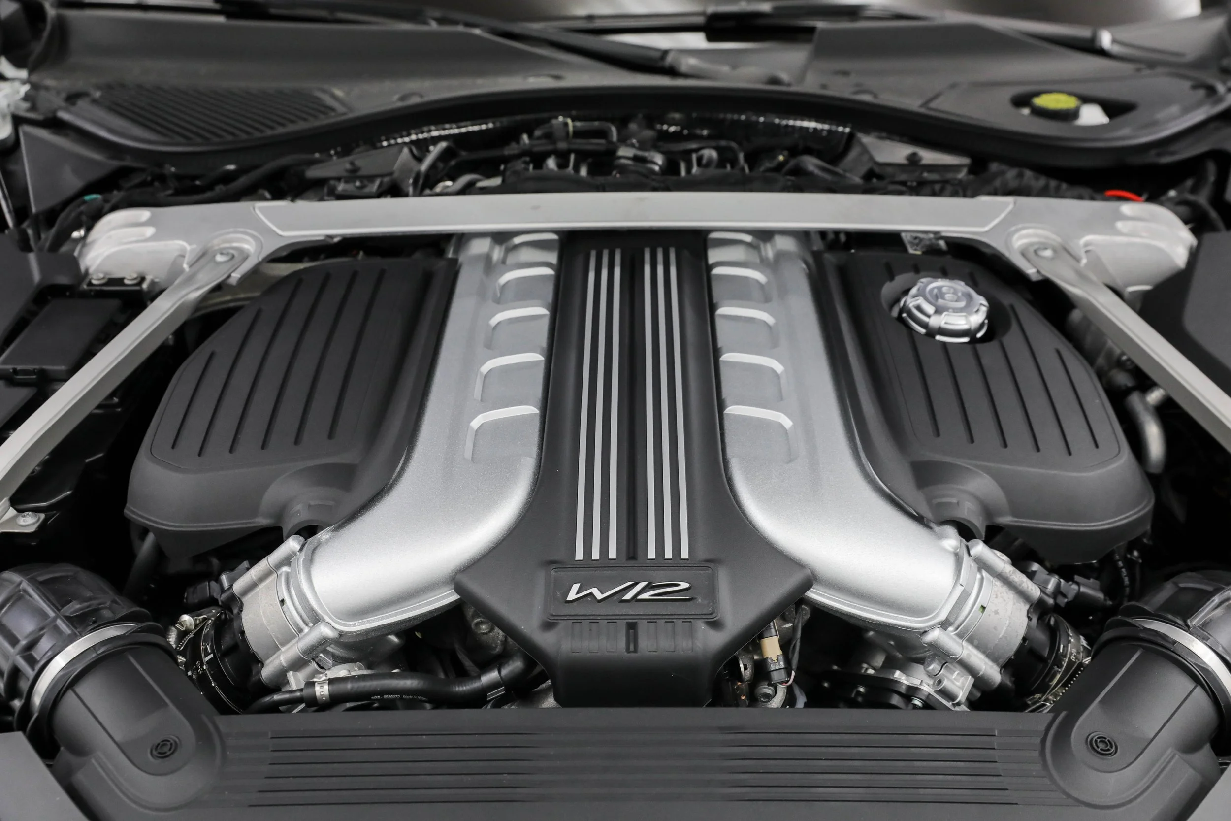 5L2A0130.jpg