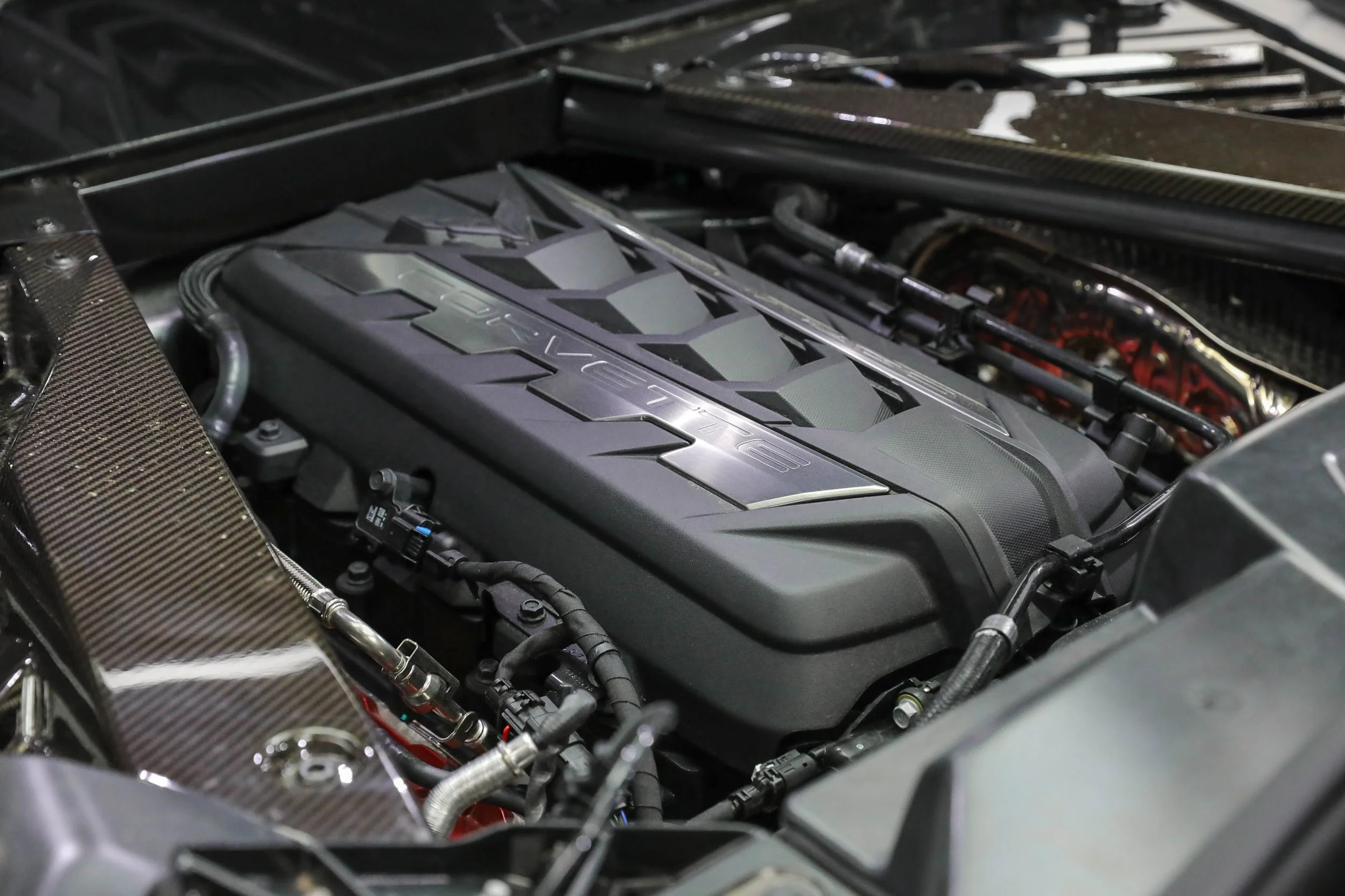 5L2A0154.jpg