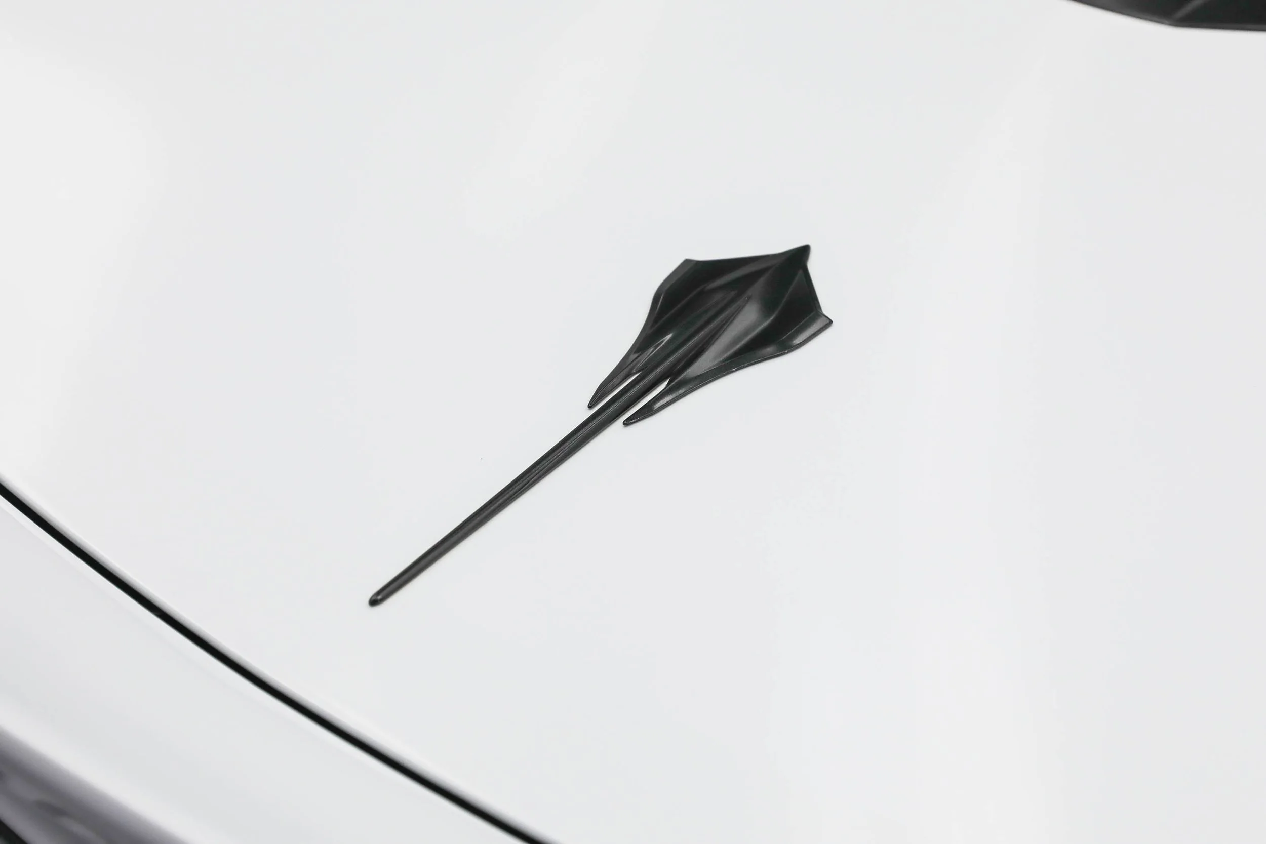 5L2A0185.jpg